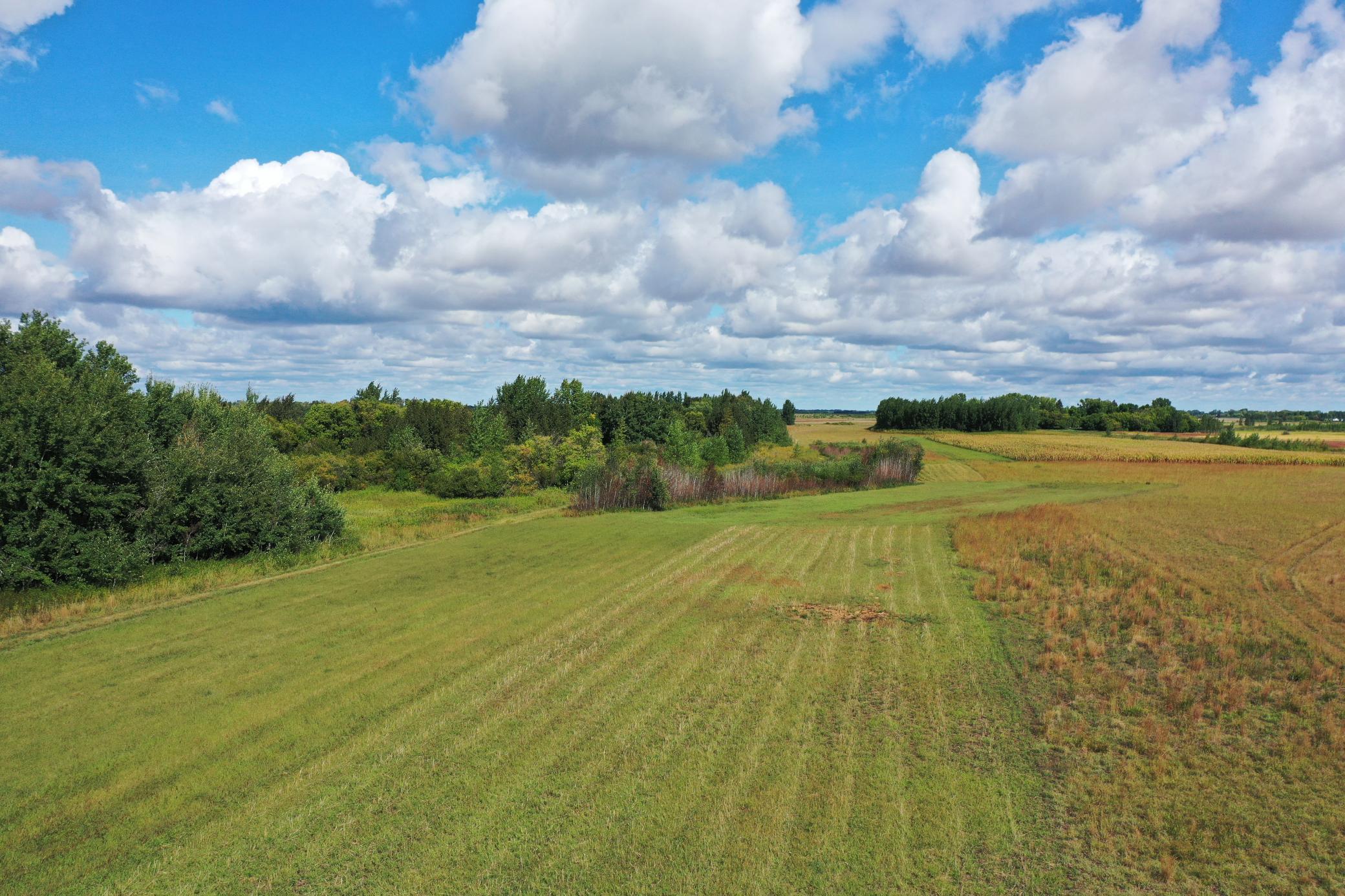 land for sale at 23307 210th Avenue N in Ulen, MN (photo 9 of 125)