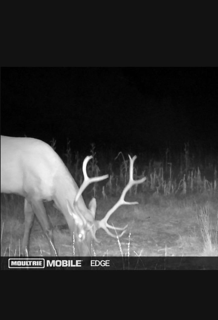 land for sale at 23307 210th Avenue N in Ulen, MN (photo 82 of 125)