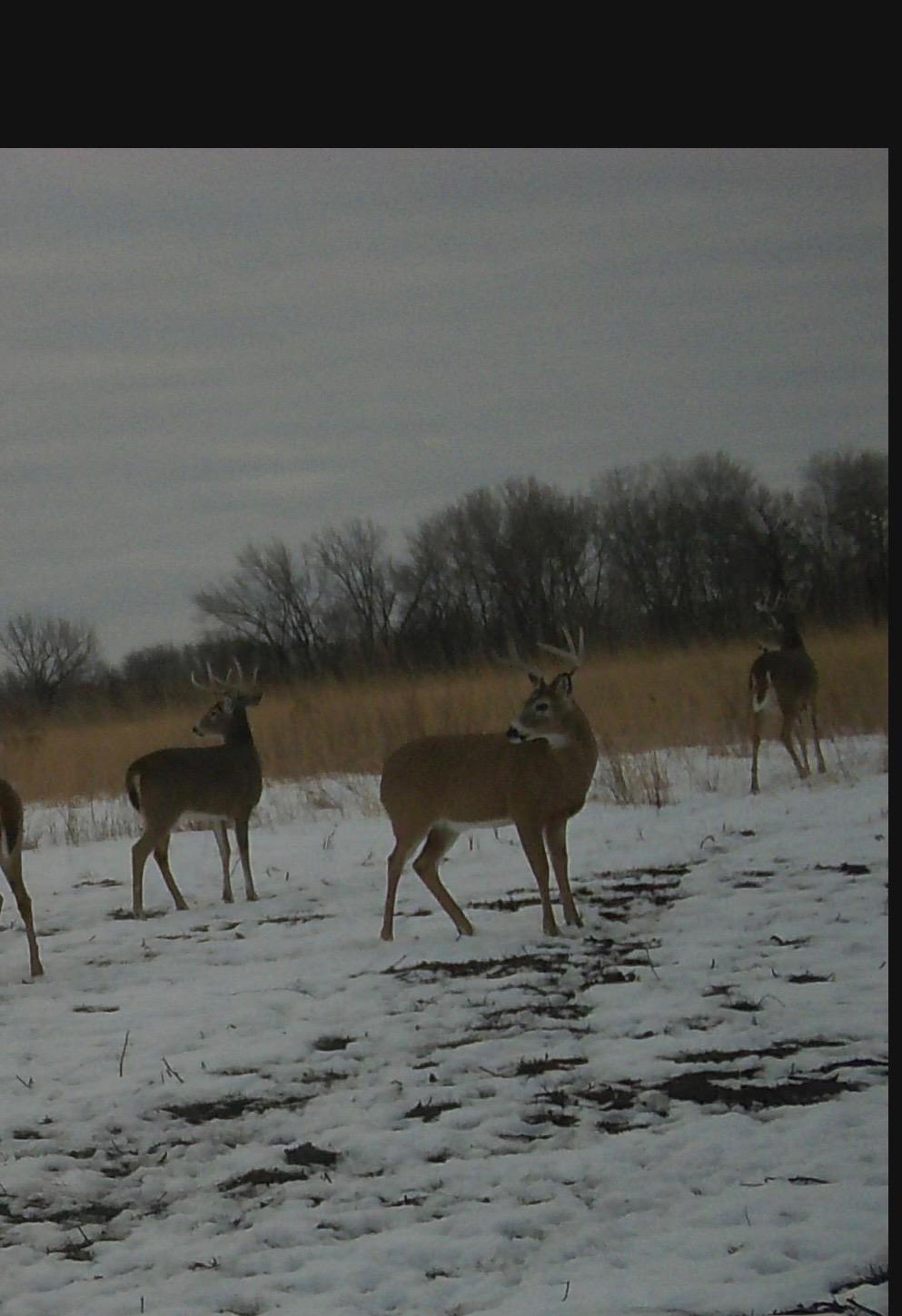land for sale at 23307 210th Avenue N in Ulen, MN (photo 88 of 125)