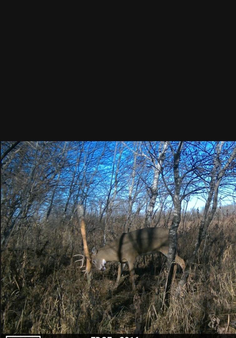 land for sale at 23307 210th Avenue N in Ulen, MN (photo 89 of 125)