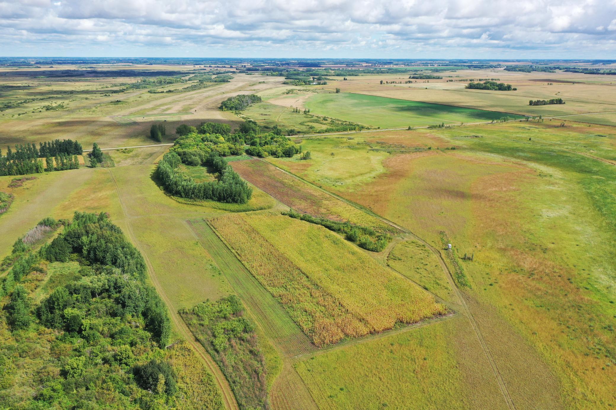 land for sale at 23307 210th Avenue N in Ulen, MN (photo 10 of 125)