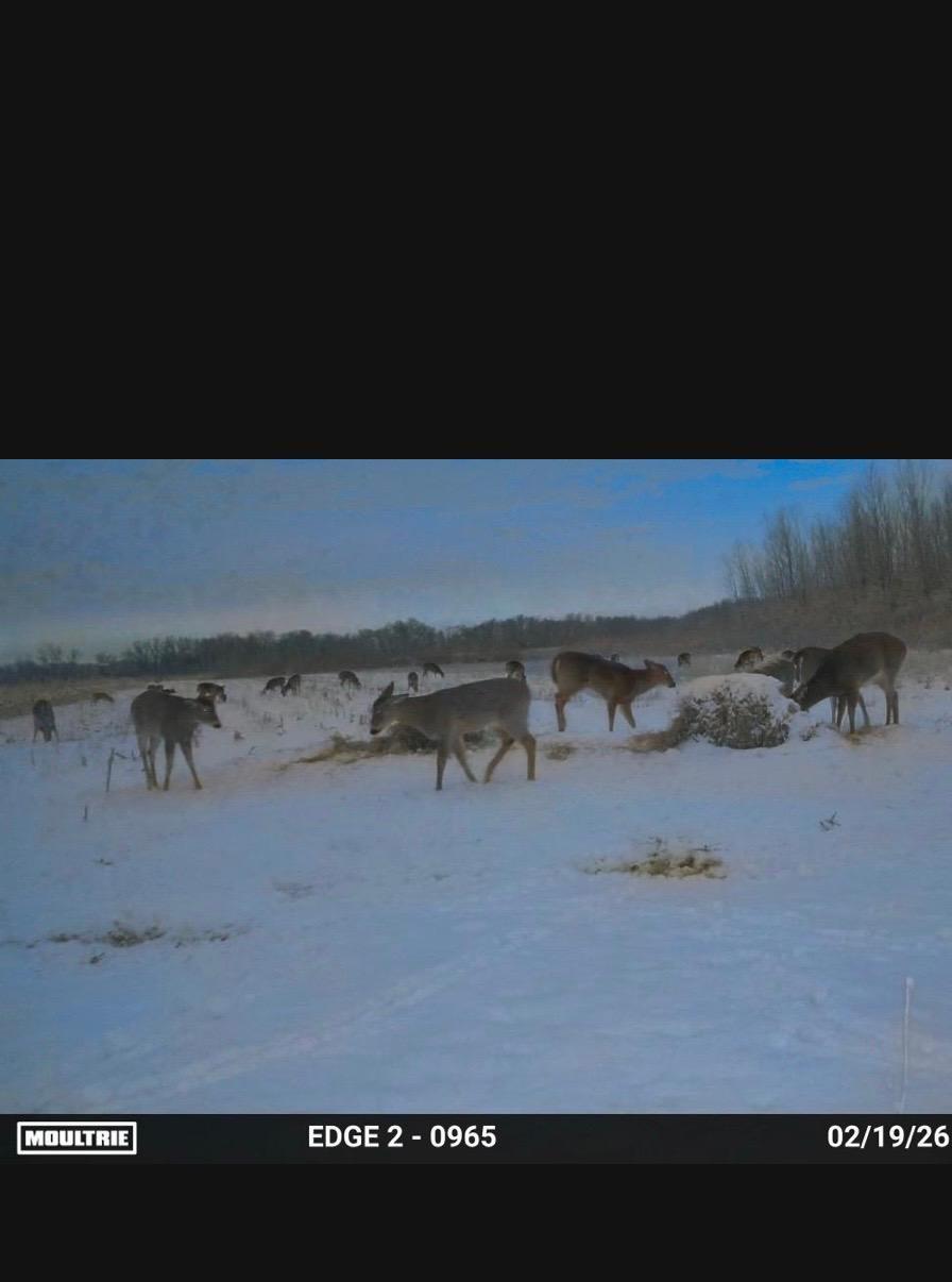 land for sale at 23307 210th Avenue N in Ulen, MN (photo 94 of 125)