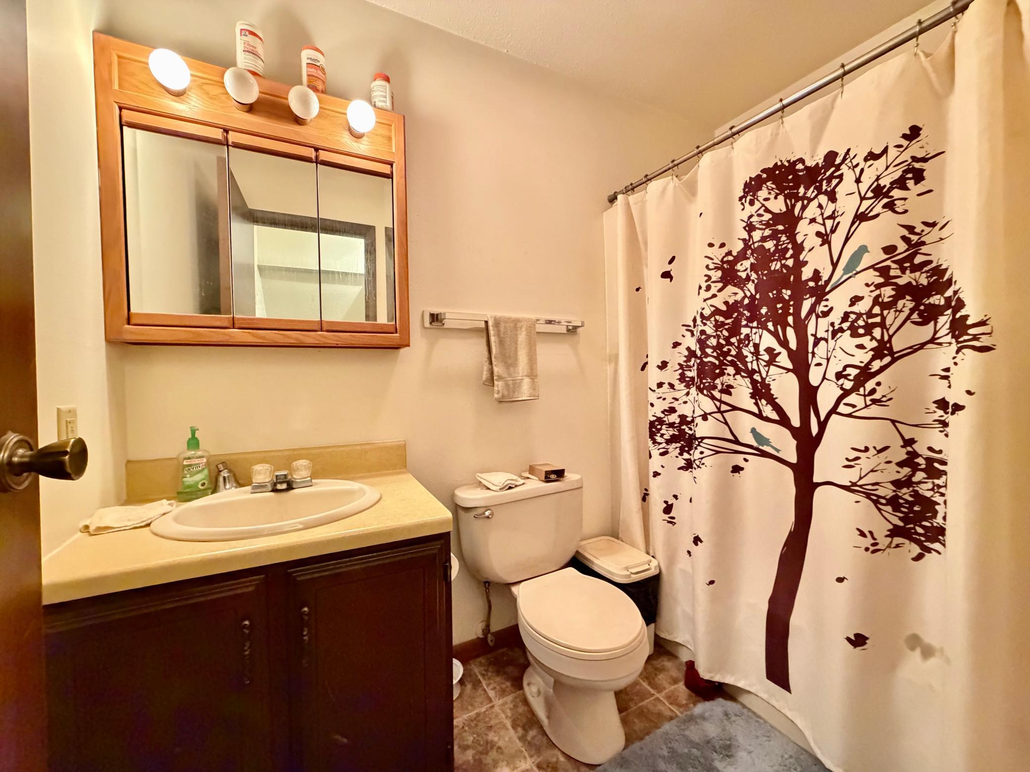 1976 home for sale at 319 1st Avenue NW in Rothsay, MN — 8 bed, 8 bath (photo 27 of 40)
