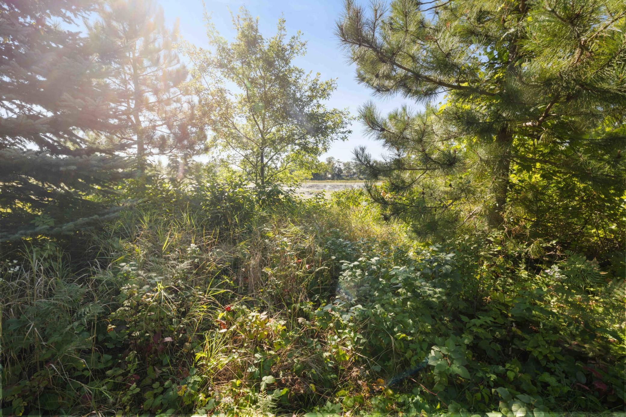 1990 single family home for sale at 4451 See Gull Cove in Brainerd, MN — 3 bed, 2 bath (photo 29 of 54)