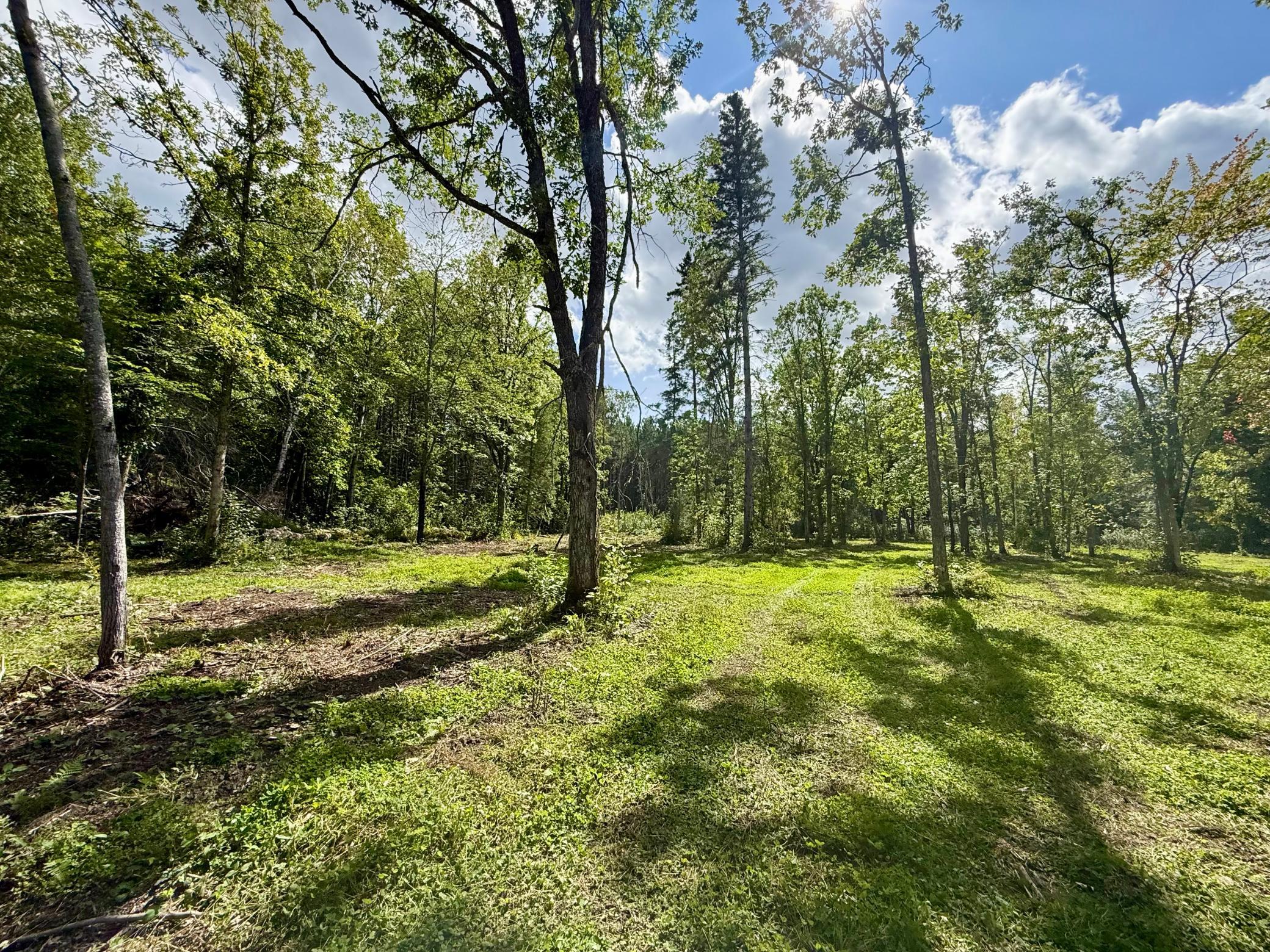 land for sale at 56305 S Dora Lake Road in Northome, MN (photo 2 of 8)