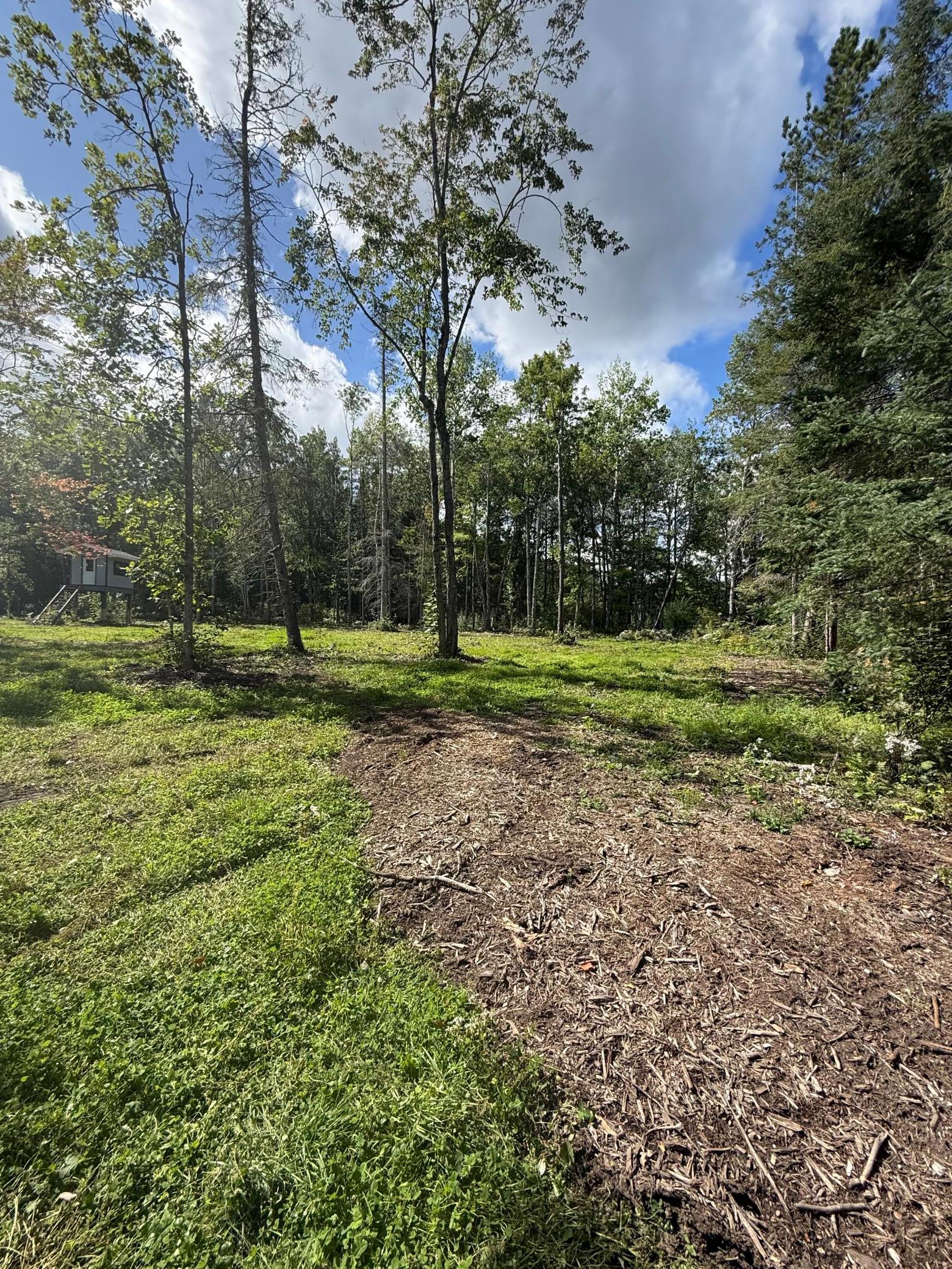 land for sale at 56305 S Dora Lake Road in Northome, MN (photo 5 of 8)