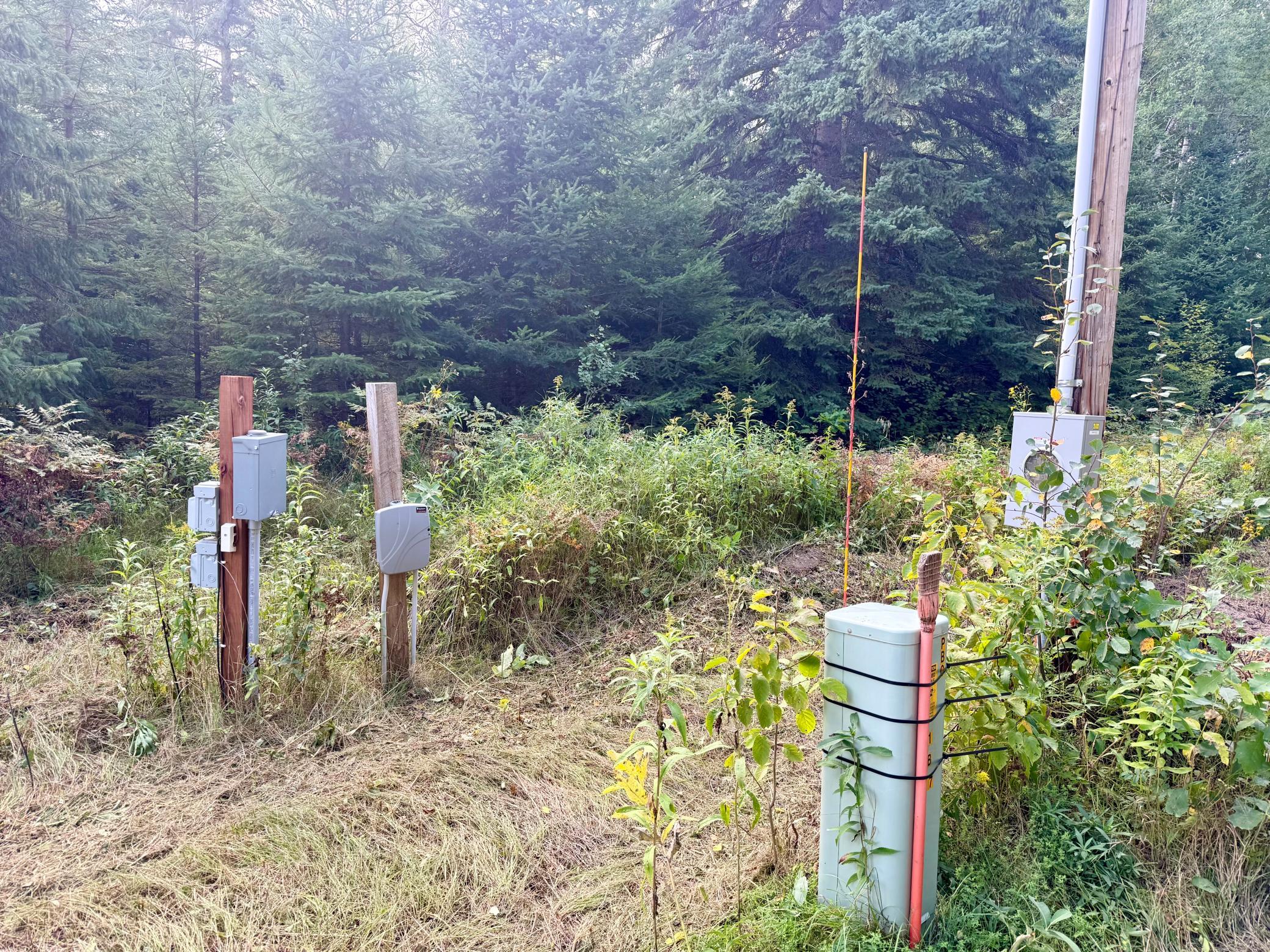 land for sale at 56305 S Dora Lake Road in Northome, MN (photo 6 of 8)