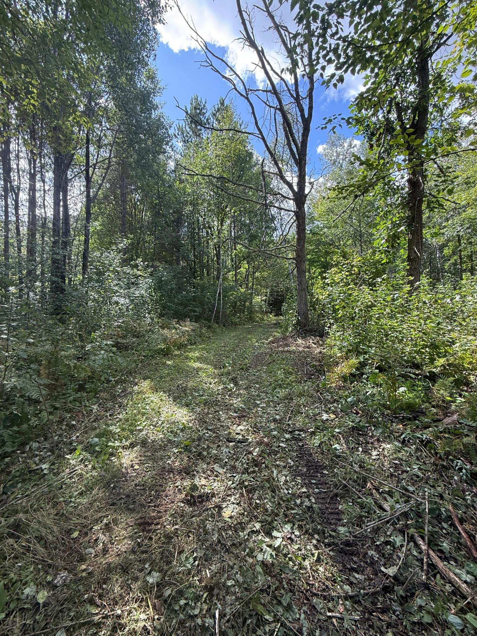 land for sale at 56305 S Dora Lake Road in Northome, MN (photo 7 of 8)