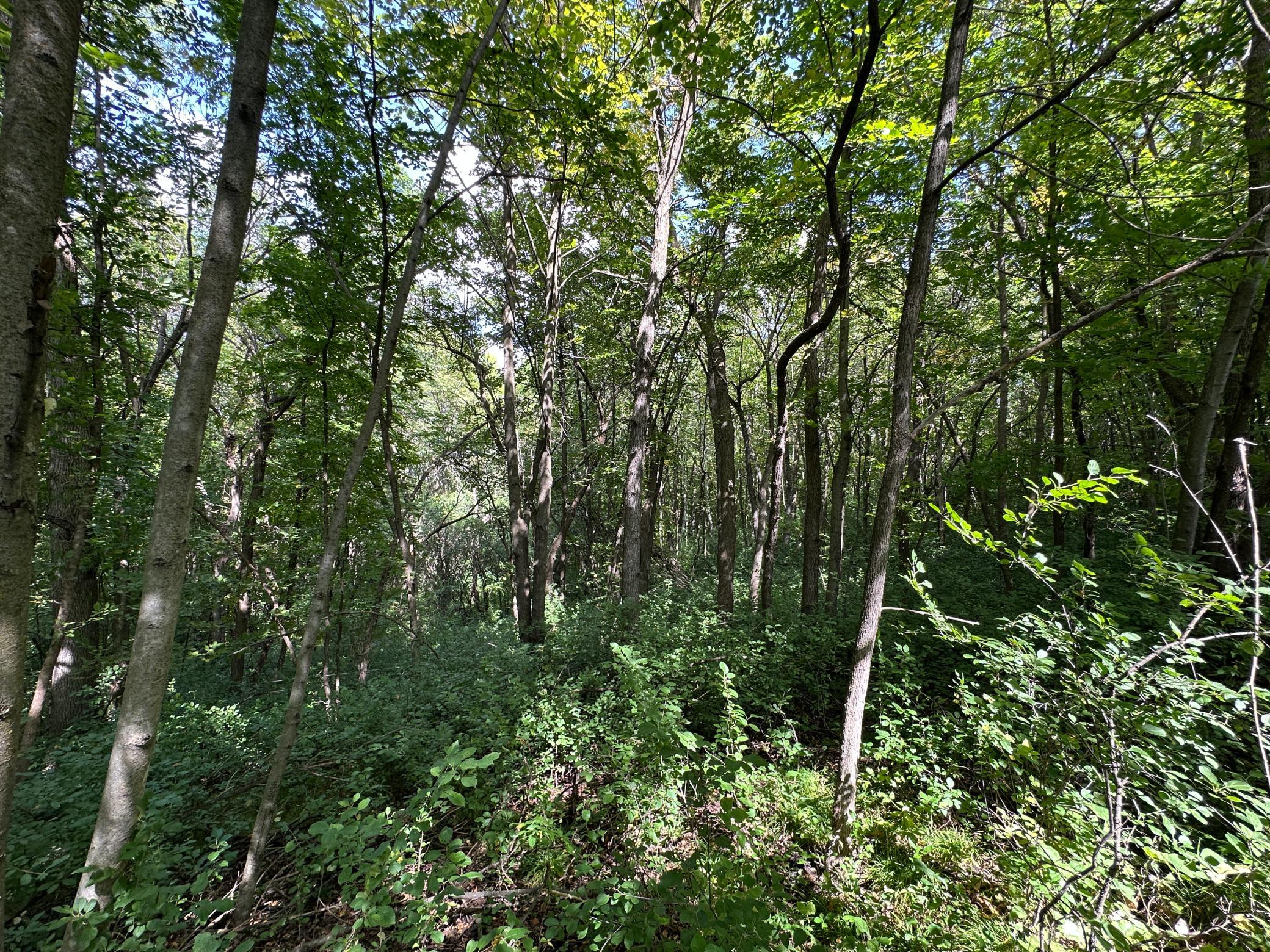 land for sale at TBD 230th Avenue in Fergus Falls, MN (photo 14 of 33)