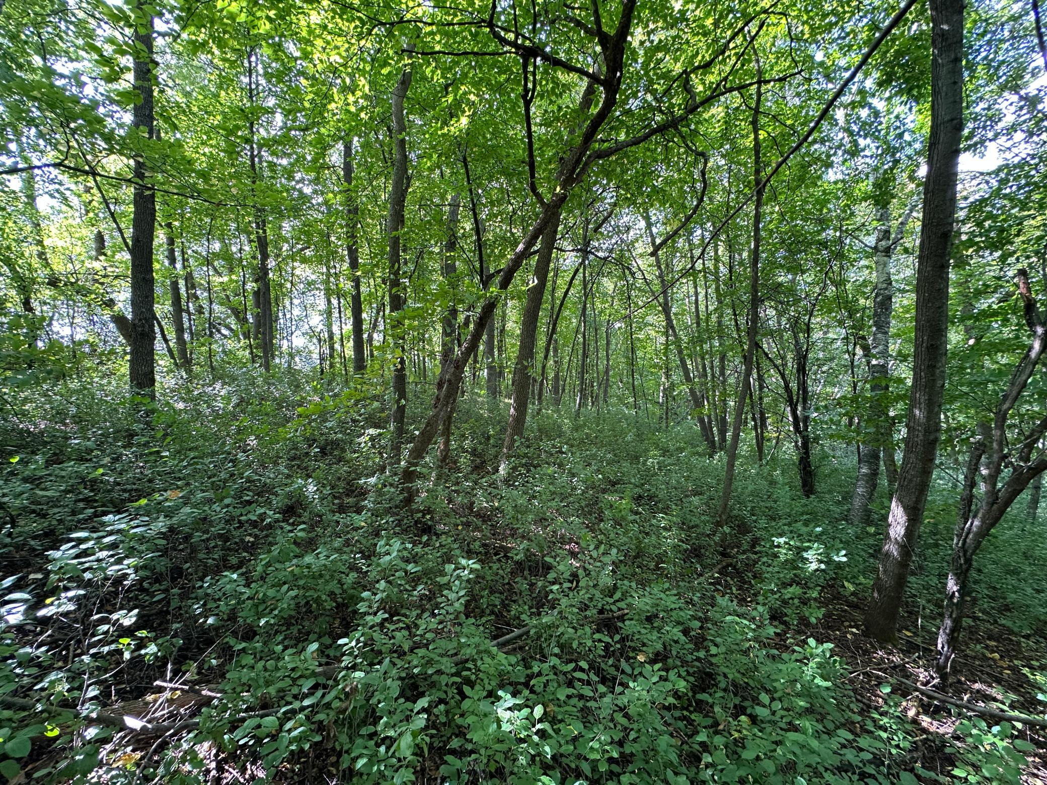 land for sale at TBD 230th Avenue in Fergus Falls, MN (photo 15 of 33)