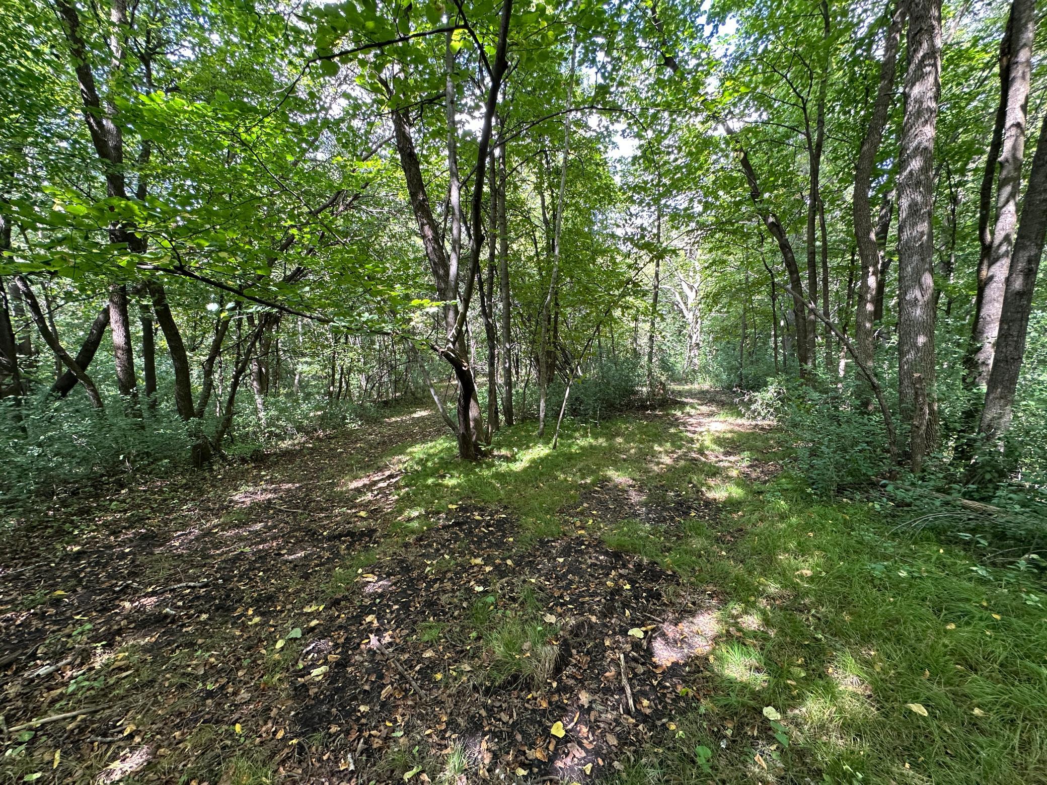land for sale at TBD 230th Avenue in Fergus Falls, MN (photo 16 of 33)