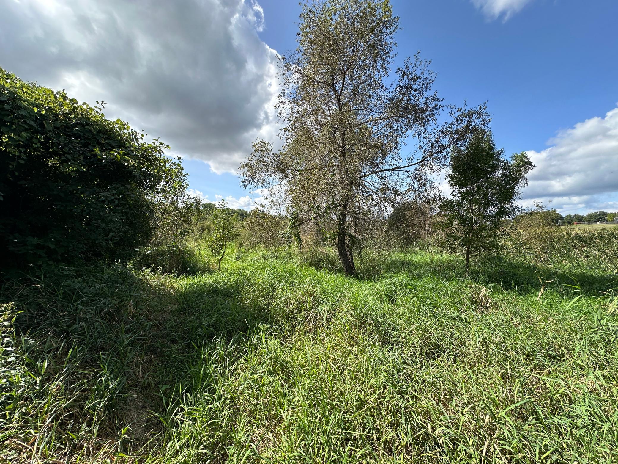 land for sale at TBD 230th Avenue in Fergus Falls, MN (photo 17 of 33)