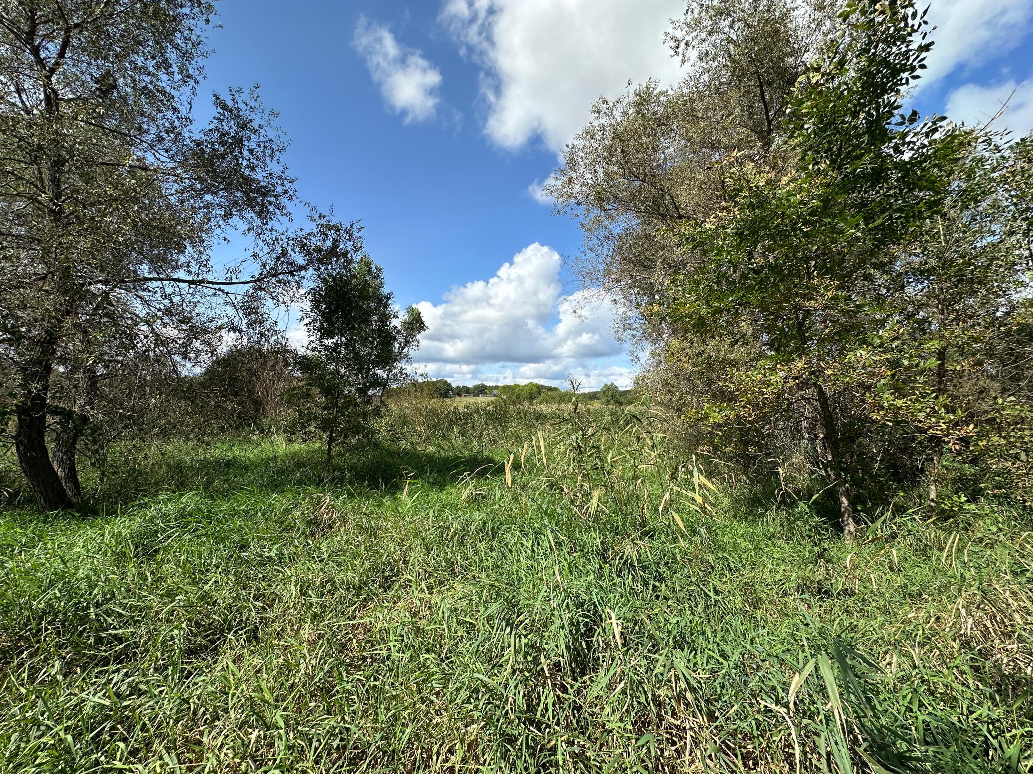 land for sale at TBD 230th Avenue in Fergus Falls, MN (photo 18 of 33)