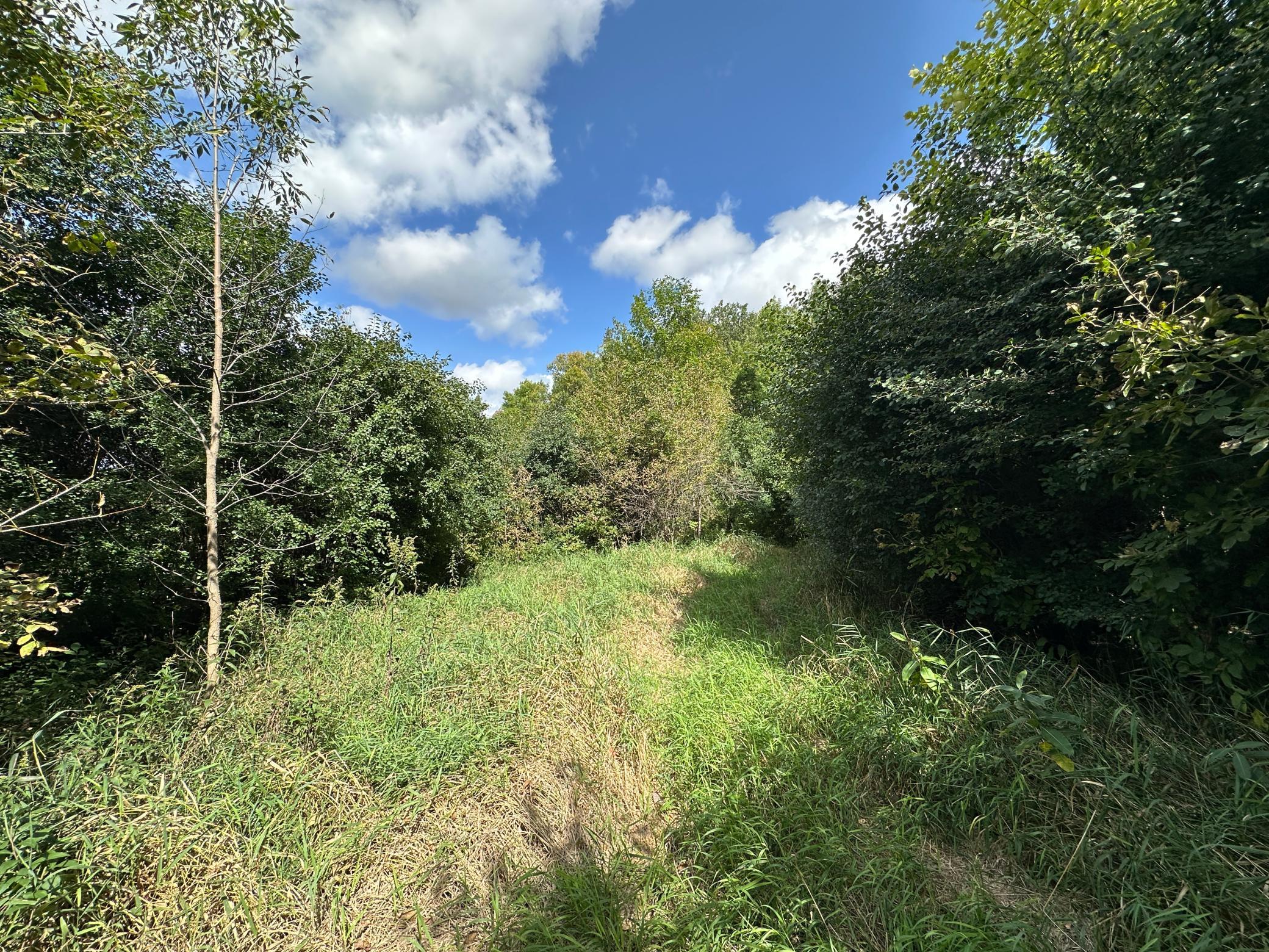 land for sale at TBD 230th Avenue in Fergus Falls, MN (photo 19 of 33)