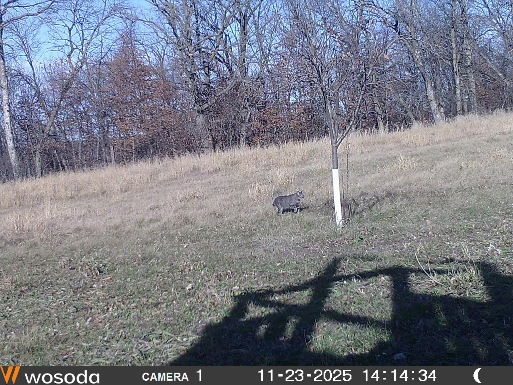 land for sale at TBD 230th Avenue in Fergus Falls, MN (photo 30 of 33)