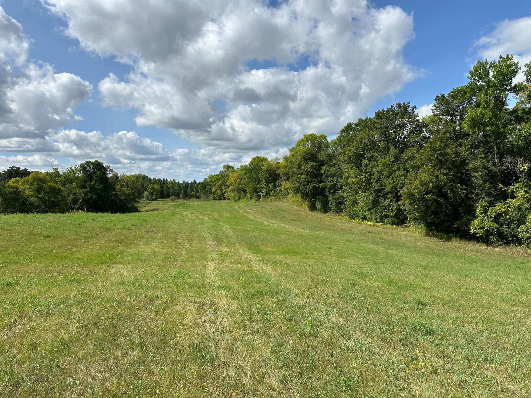 land for sale at TBD 230th Avenue in Fergus Falls, MN (photo 10 of 33)