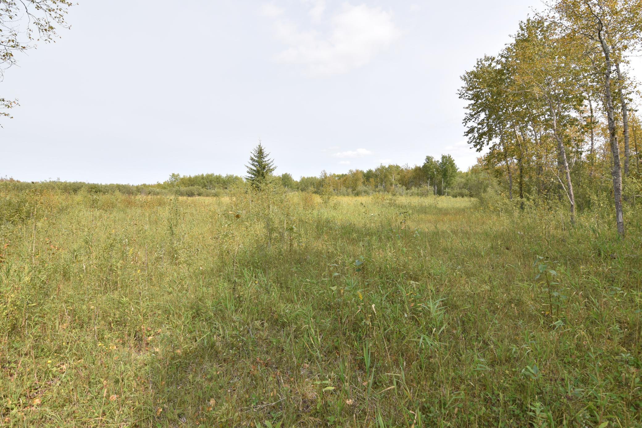 land for sale at 8324 60th Street NW in Williams, MN (photo 12 of 18)