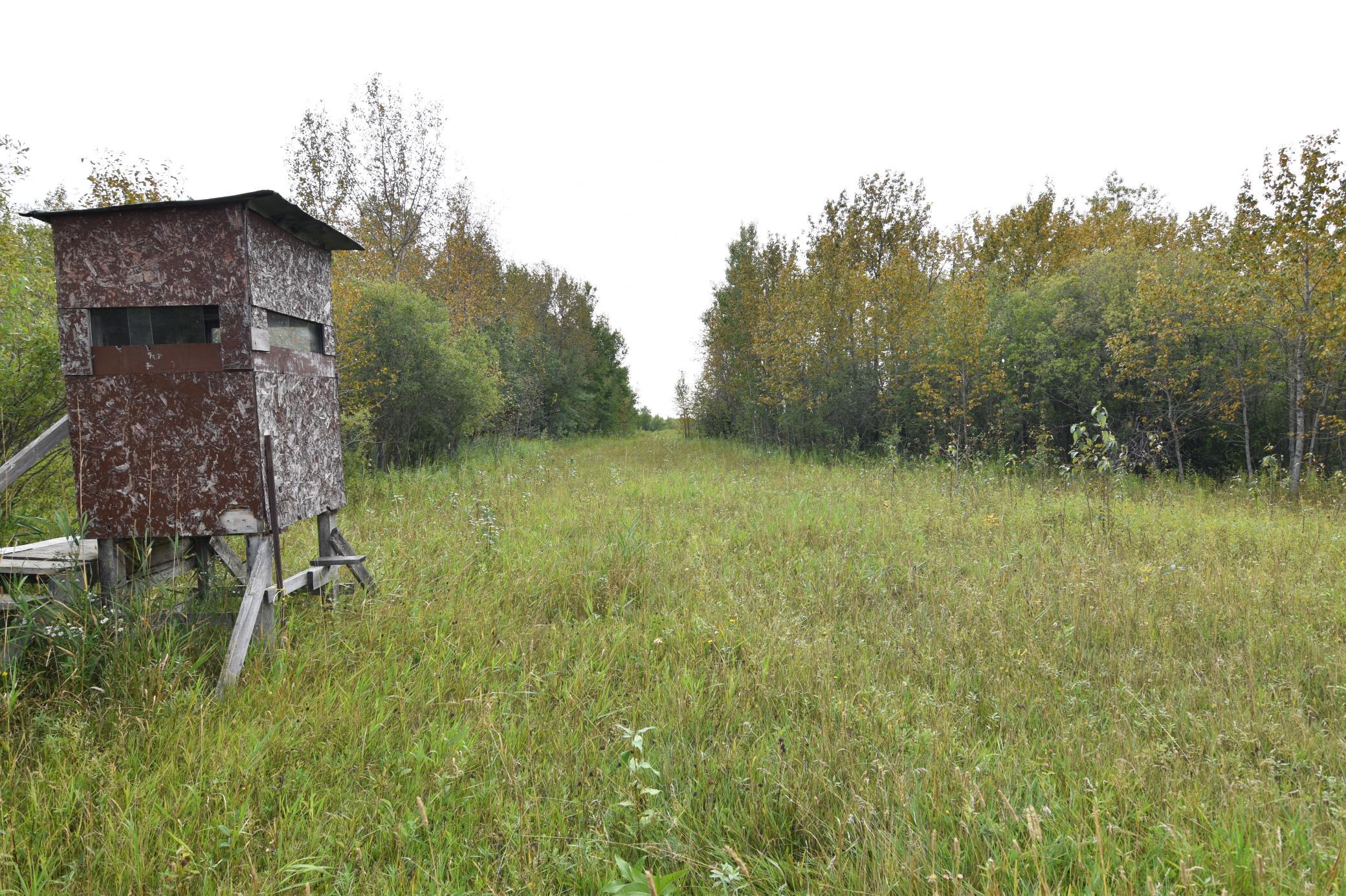 land for sale at 8324 60th Street NW in Williams, MN (photo 13 of 18)