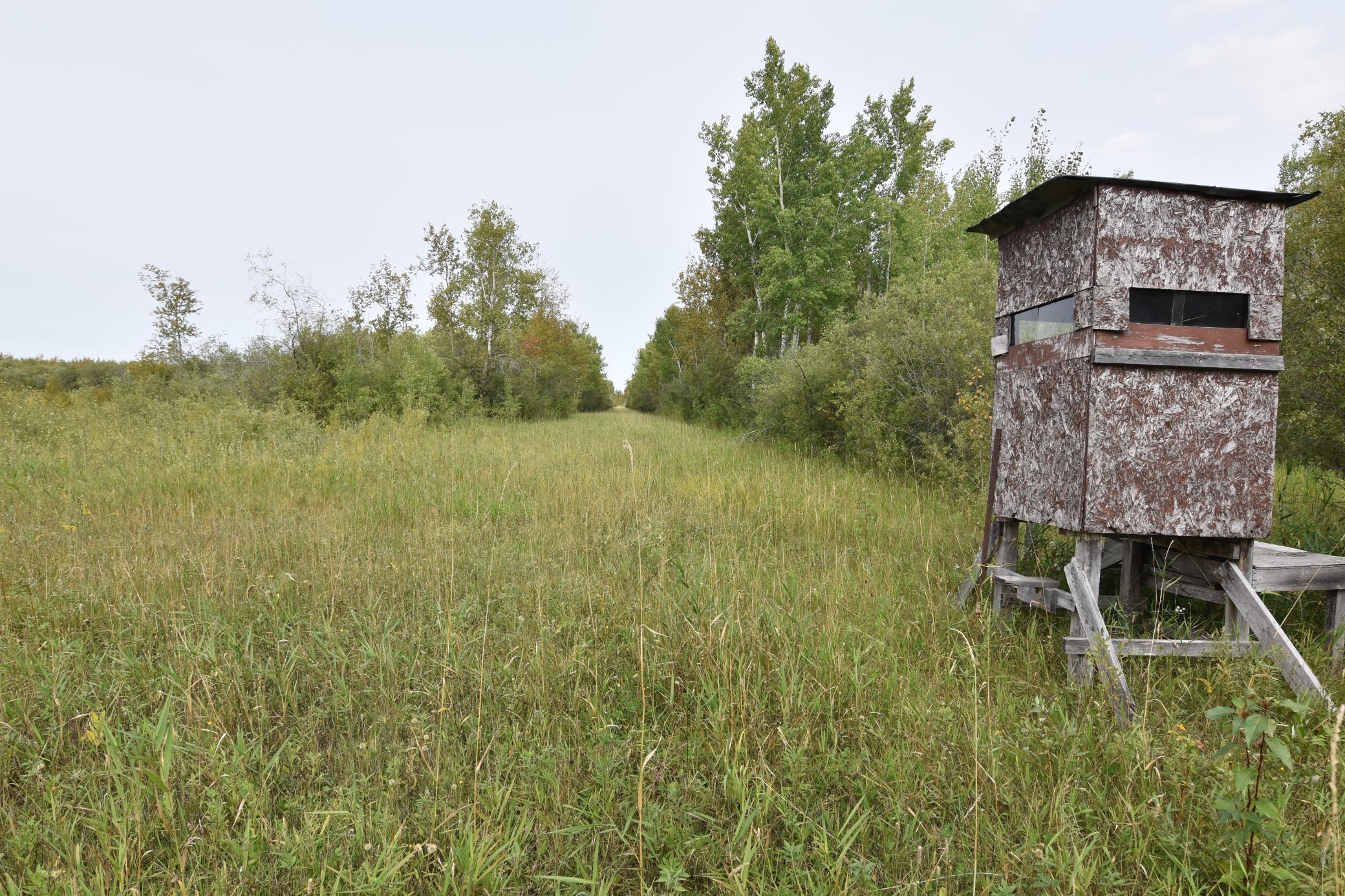 land for sale at 8324 60th Street NW in Williams, MN (photo 14 of 18)