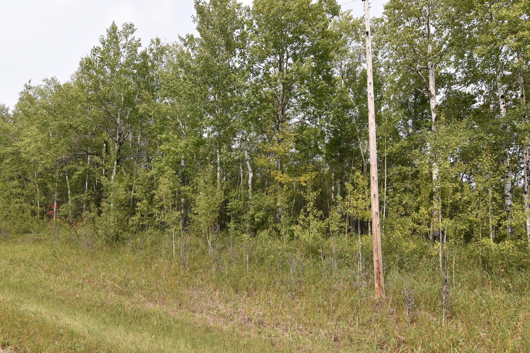 land for sale at 8324 60th Street NW in Williams, MN (photo 4 of 18)