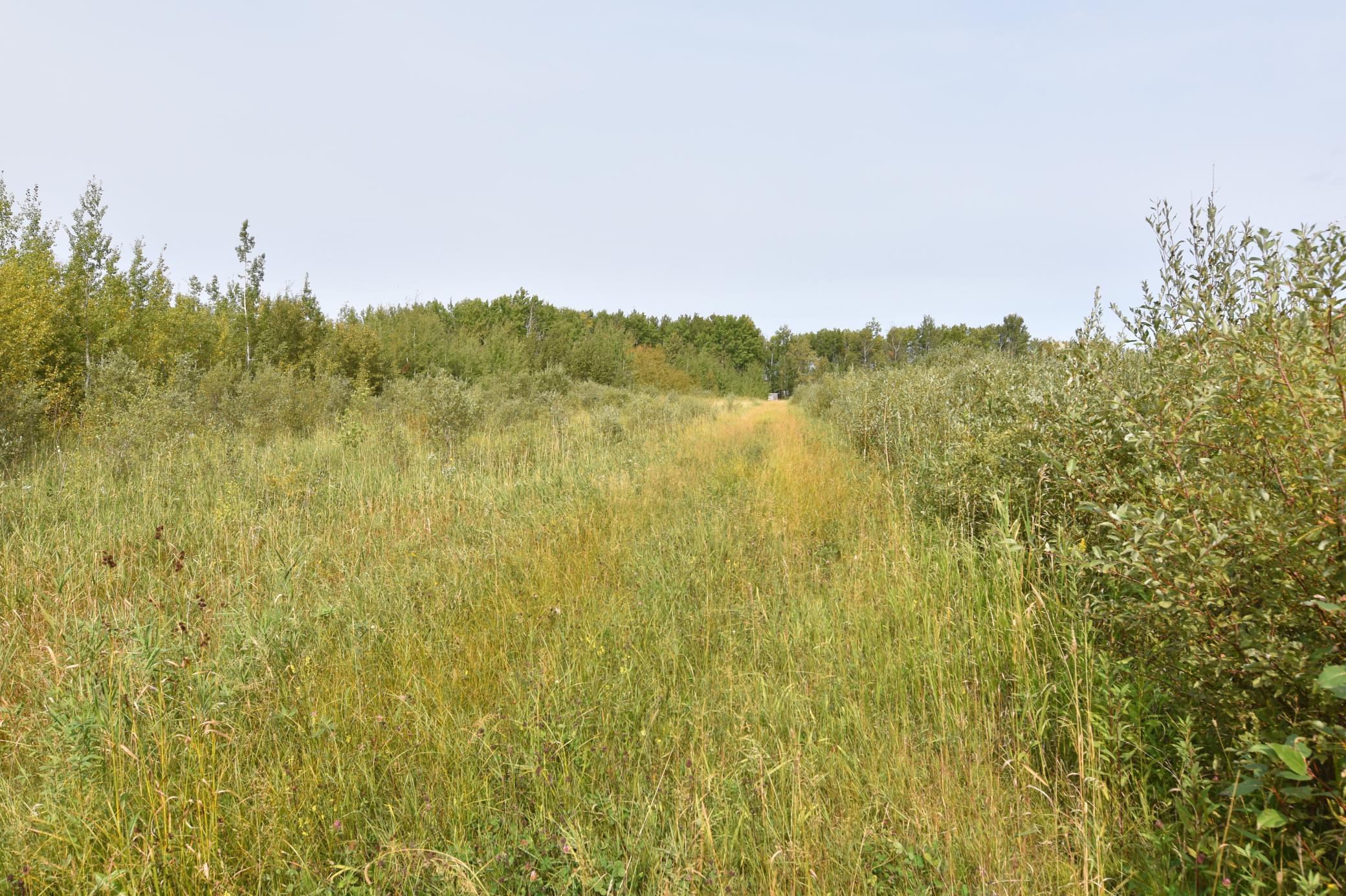 land for sale at 8324 60th Street NW in Williams, MN (photo 5 of 18)