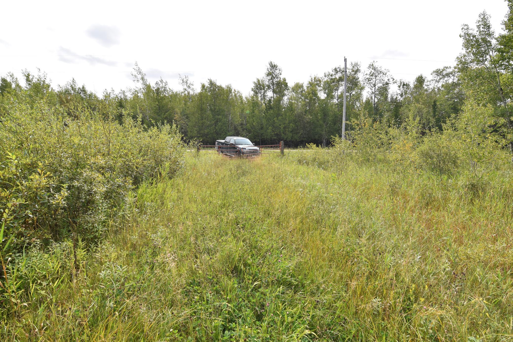 land for sale at 8324 60th Street NW in Williams, MN (photo 6 of 18)