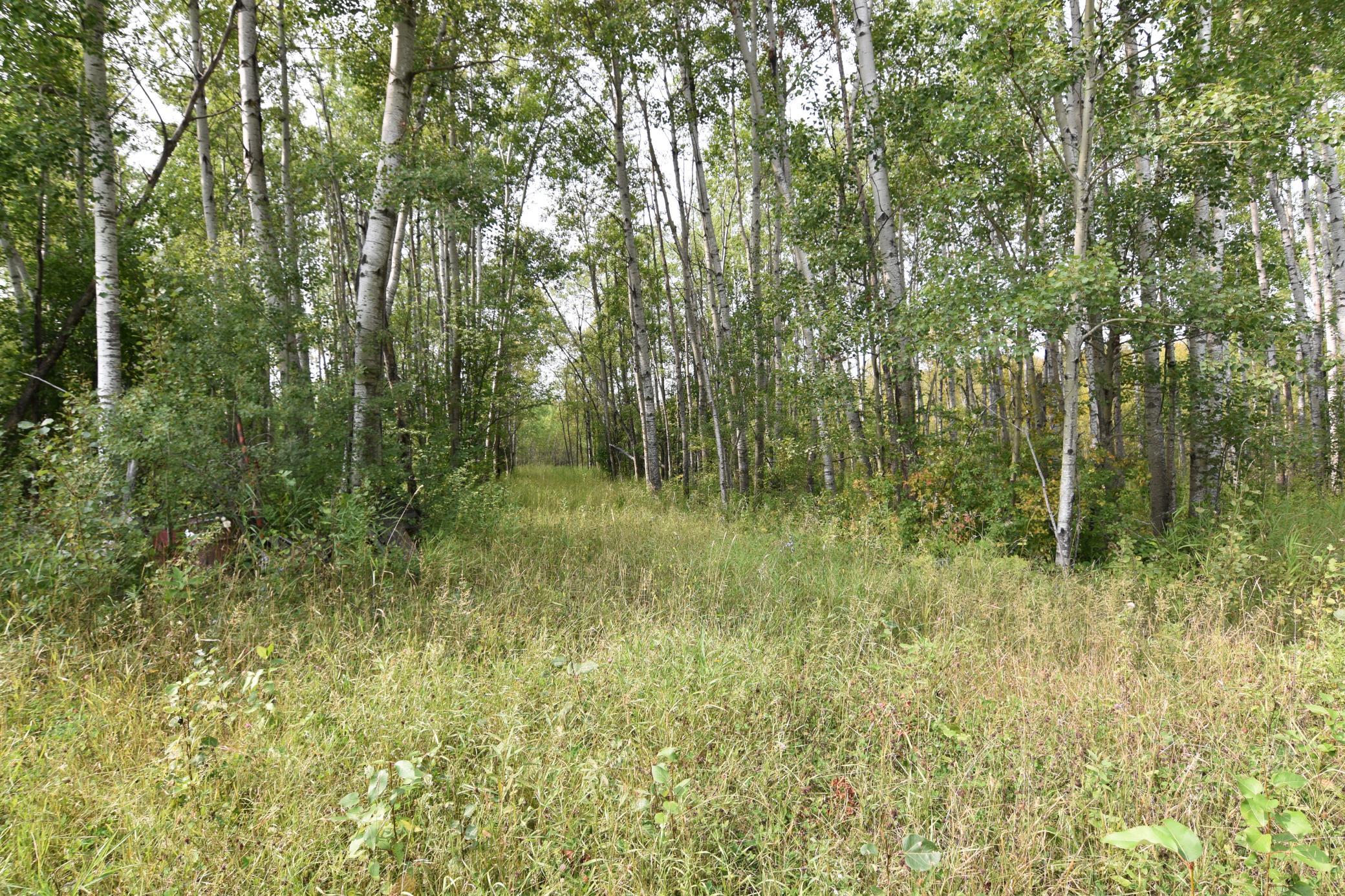 land for sale at 8324 60th Street NW in Williams, MN (photo 8 of 18)