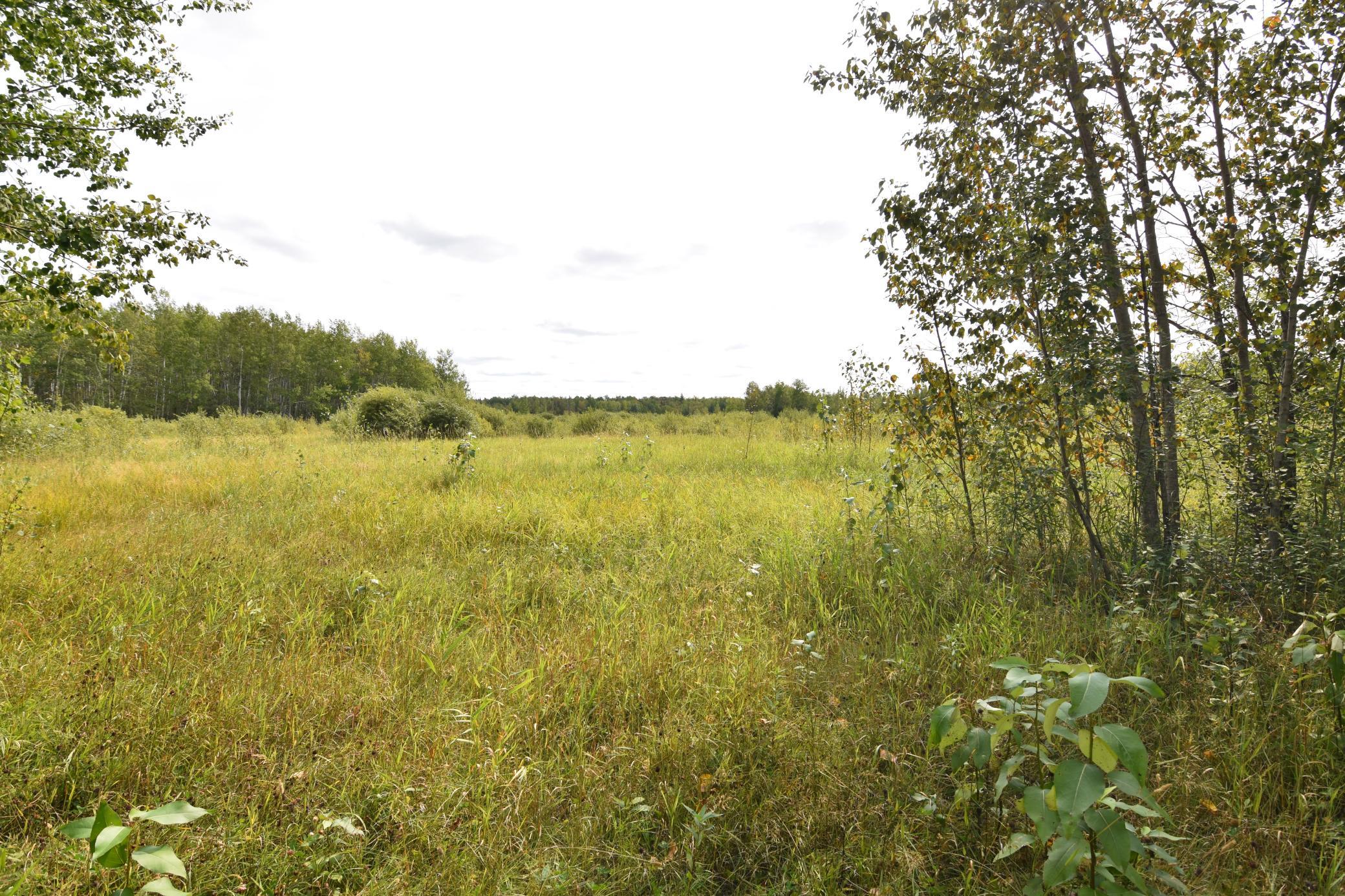 land for sale at 8324 60th Street NW in Williams, MN (photo 10 of 18)