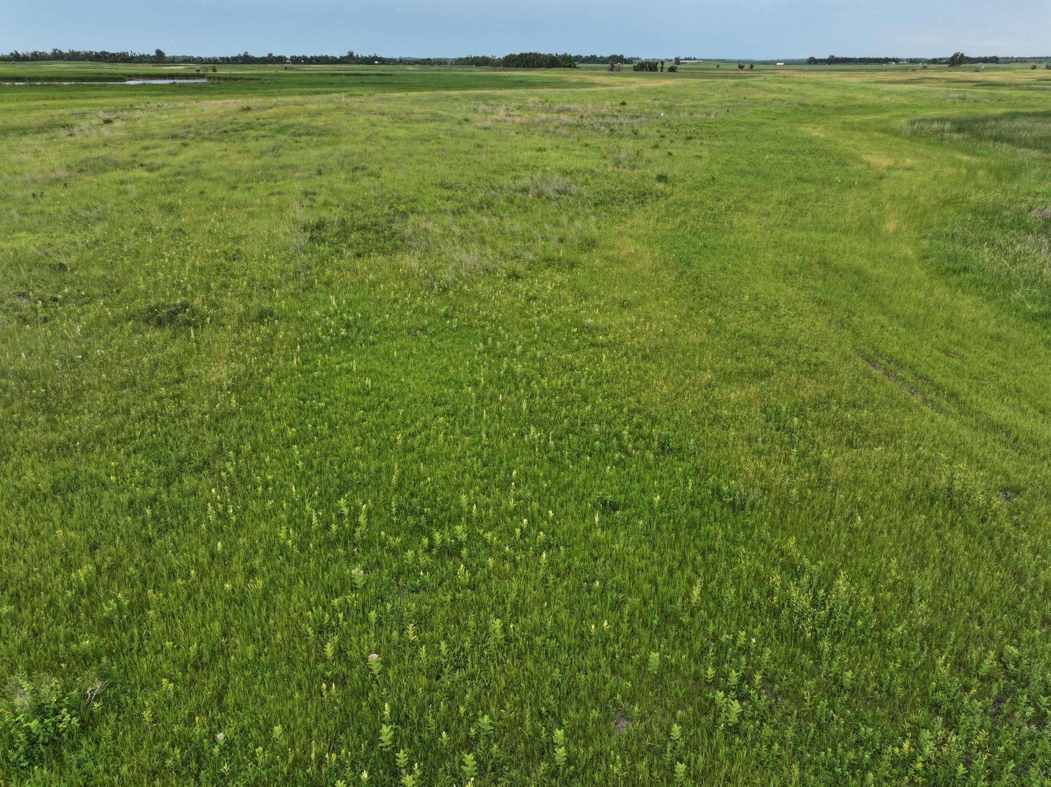 land for sale at TBD 33rd St SE in Tower City, ND (photo 17 of 39)