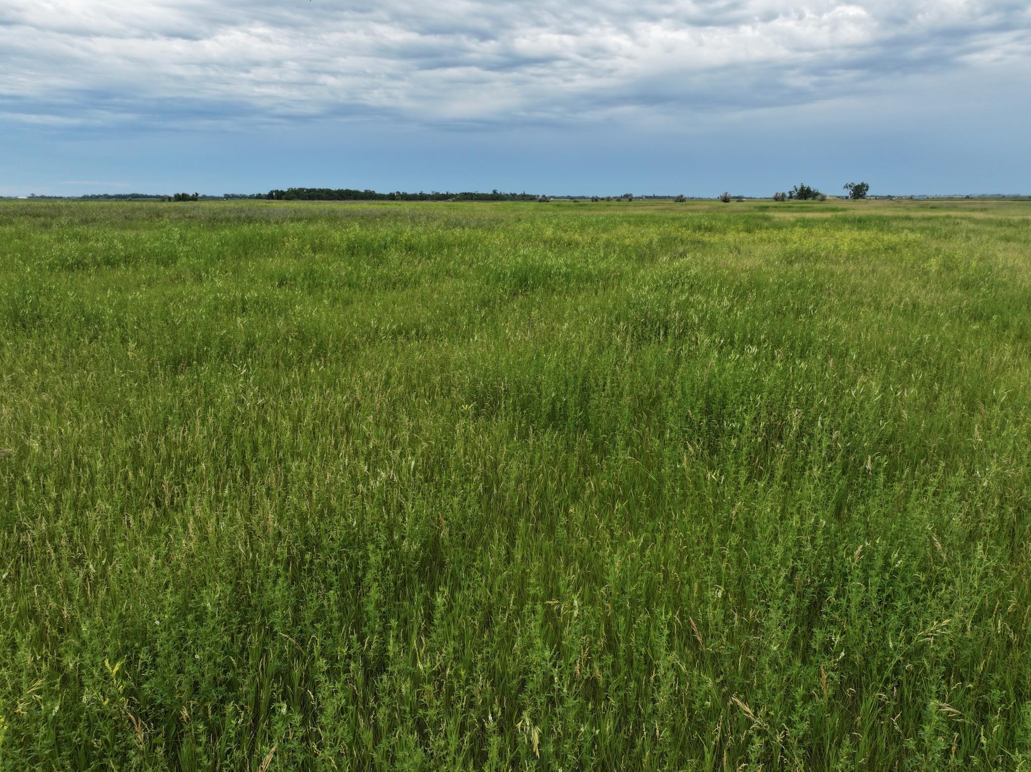 land for sale at TBD 33rd St SE in Tower City, ND (photo 19 of 39)