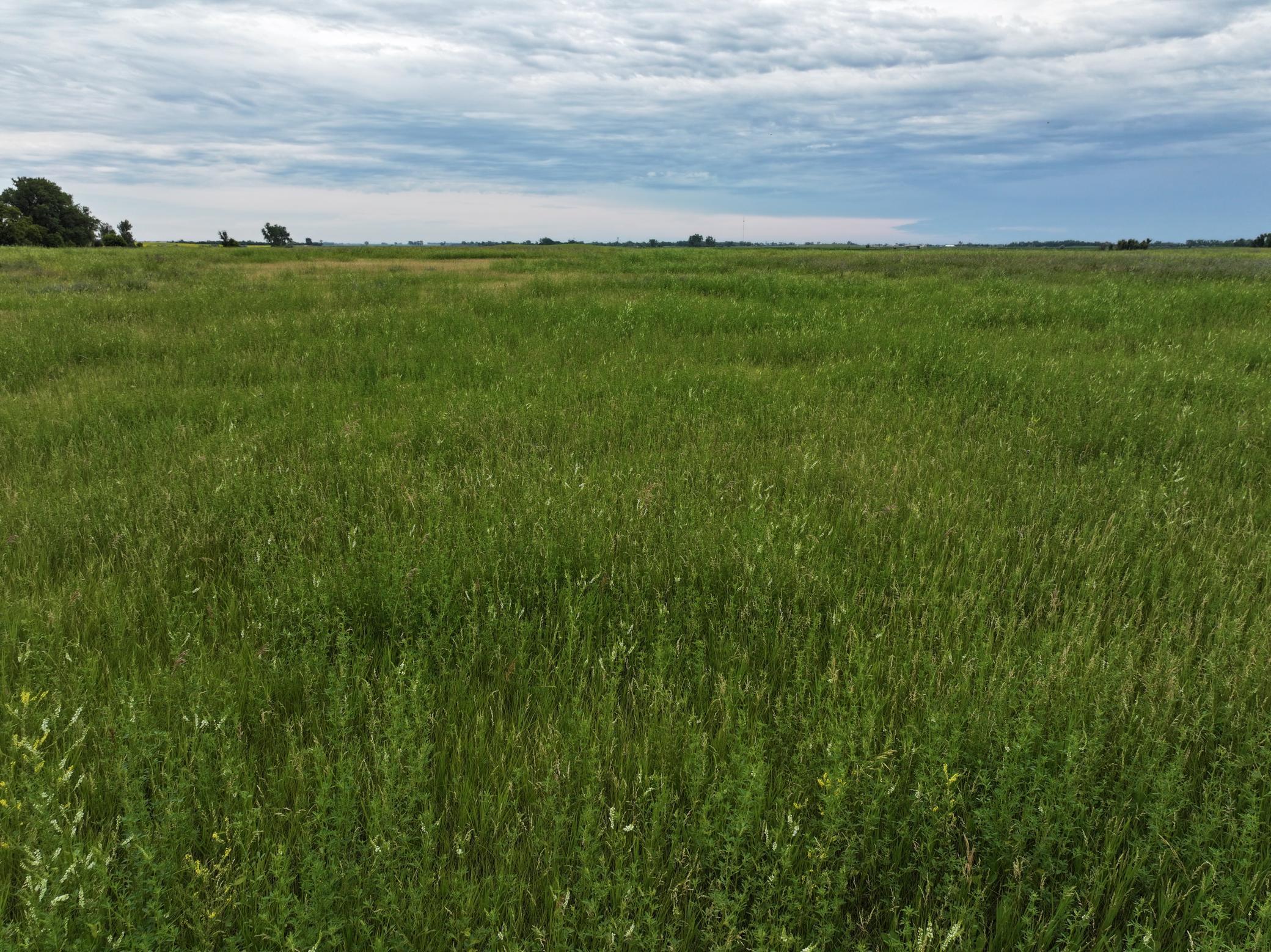 land for sale at TBD 33rd St SE in Tower City, ND (photo 20 of 39)