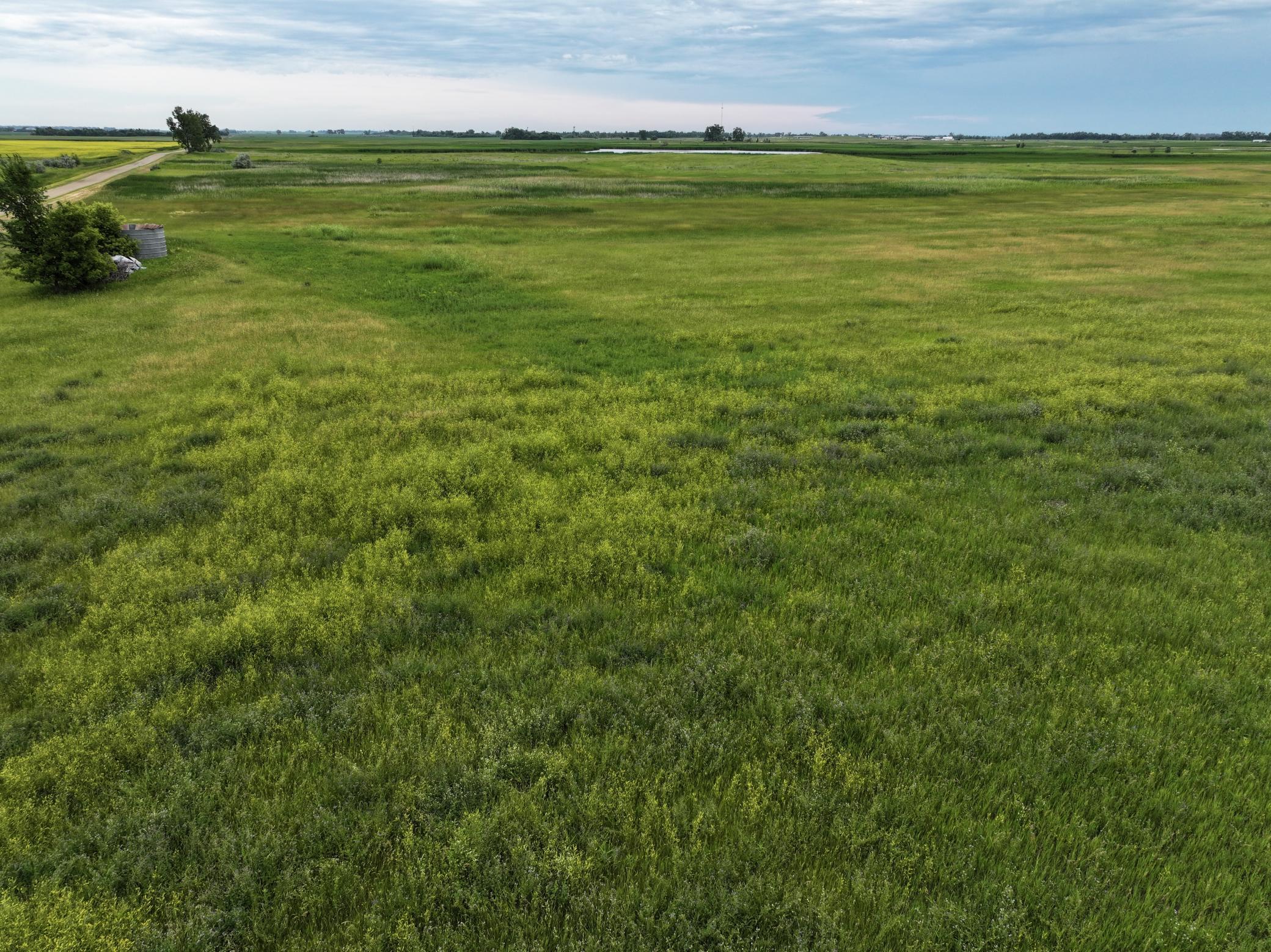 land for sale at TBD 33rd St SE in Tower City, ND (photo 21 of 39)