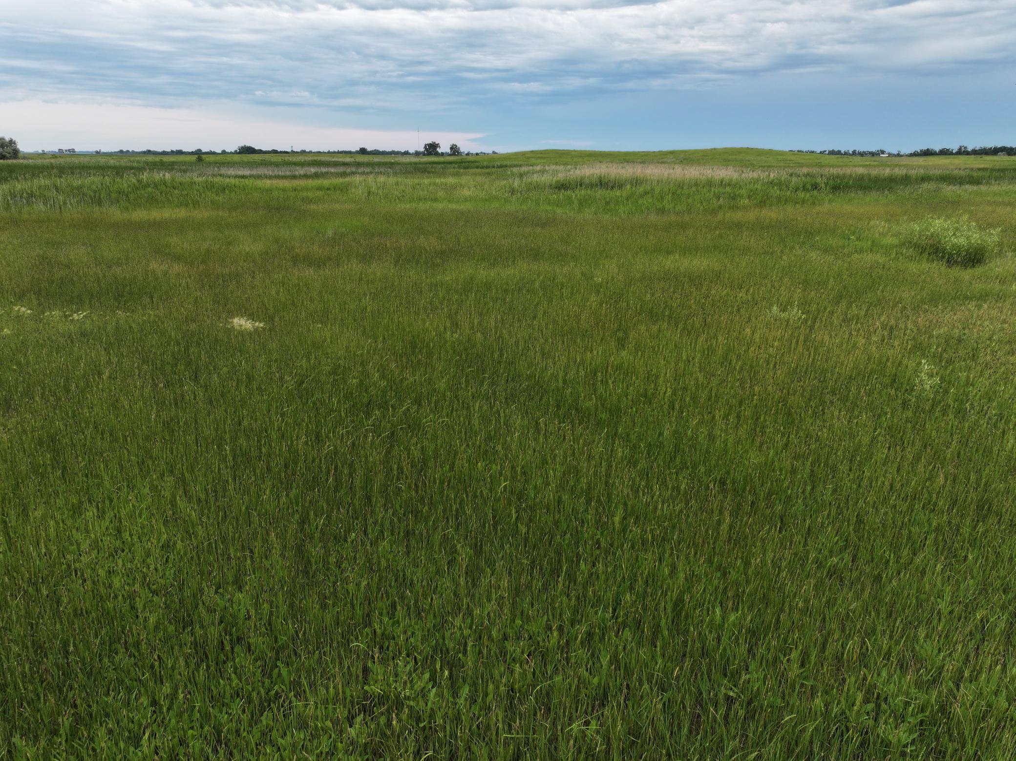 land for sale at TBD 33rd St SE in Tower City, ND (photo 24 of 39)