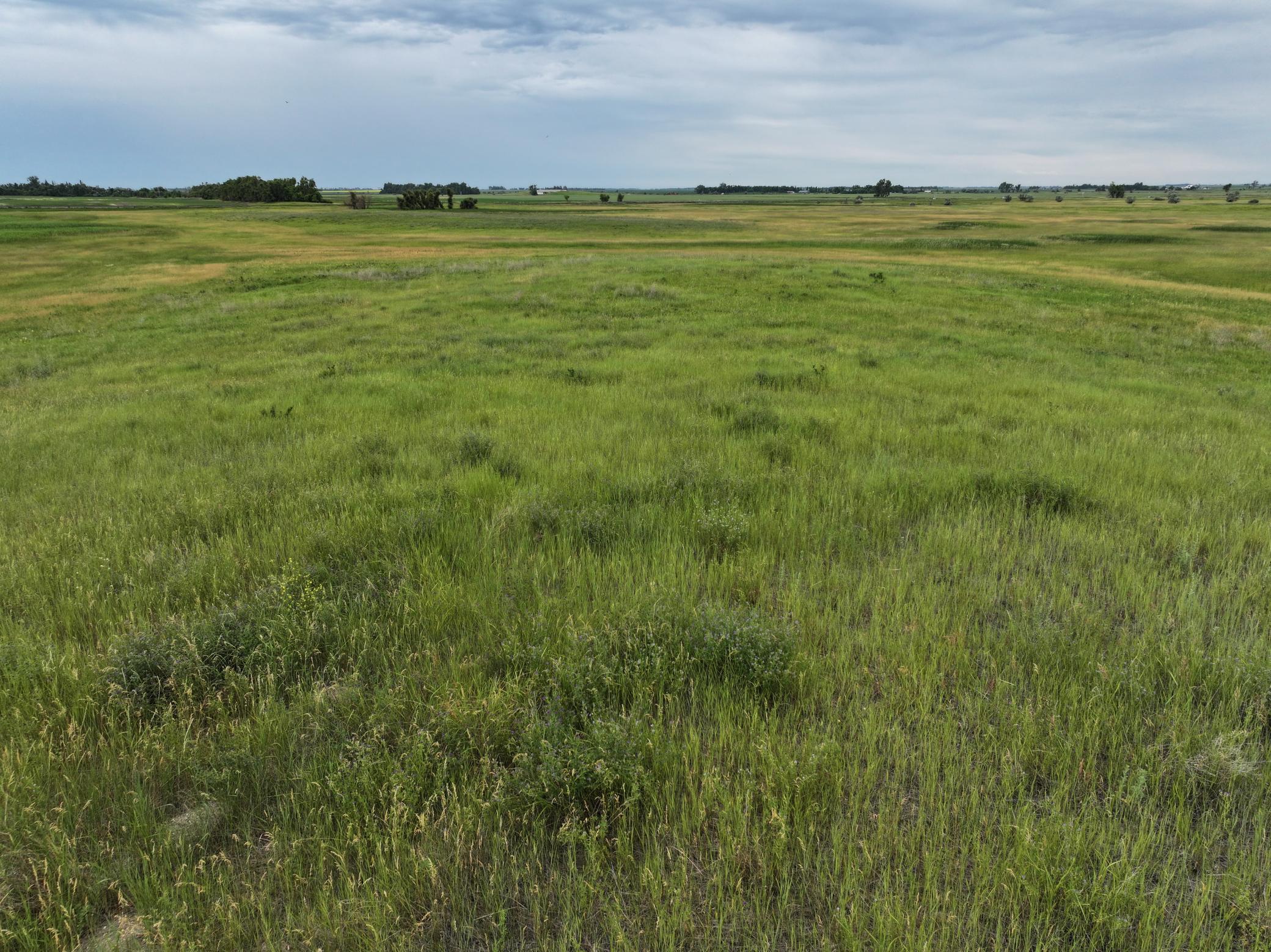 land for sale at TBD 33rd St SE in Tower City, ND (photo 27 of 39)