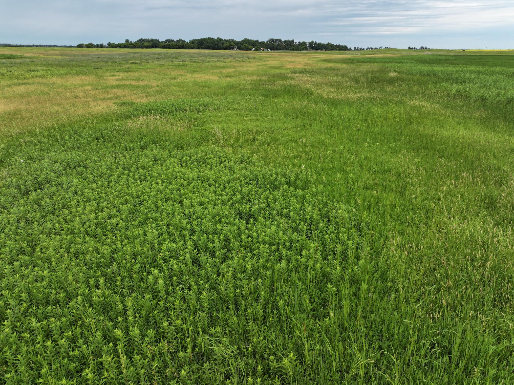 land for sale at TBD 33rd St SE in Tower City, ND (photo 28 of 39)