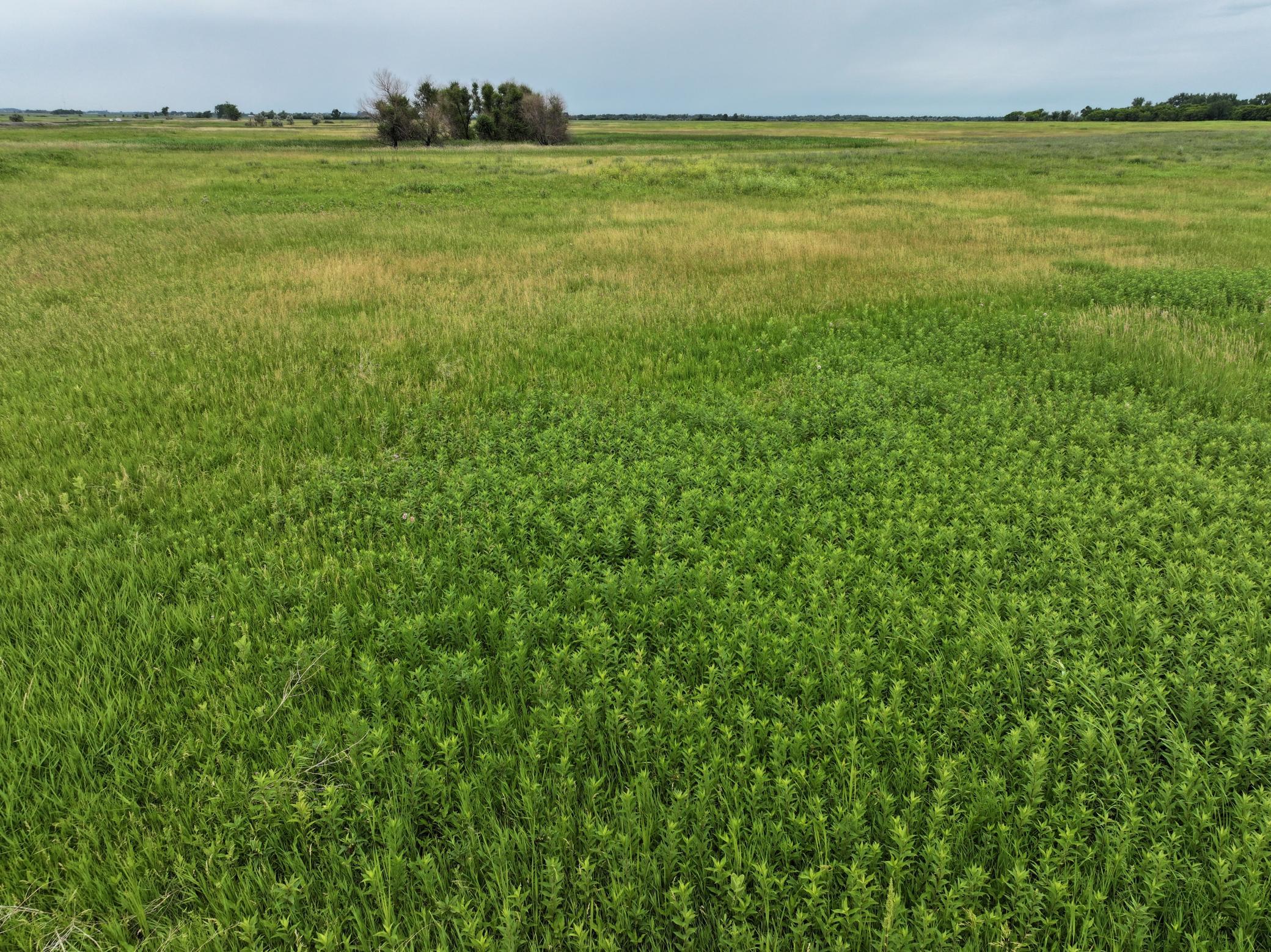 land for sale at TBD 33rd St SE in Tower City, ND (photo 29 of 39)