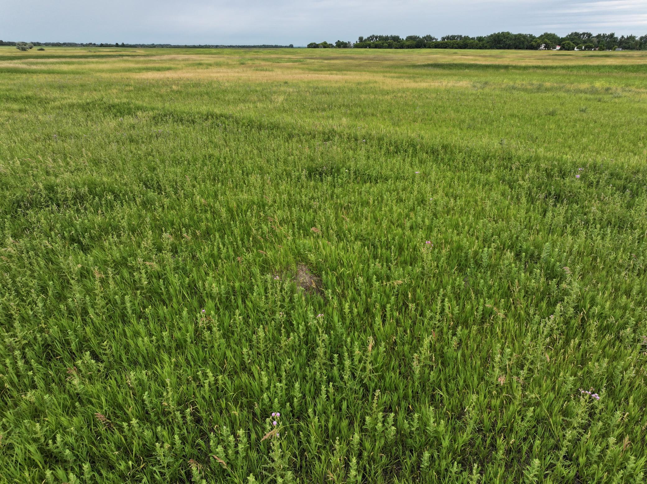 land for sale at TBD 33rd St SE in Tower City, ND (photo 30 of 39)