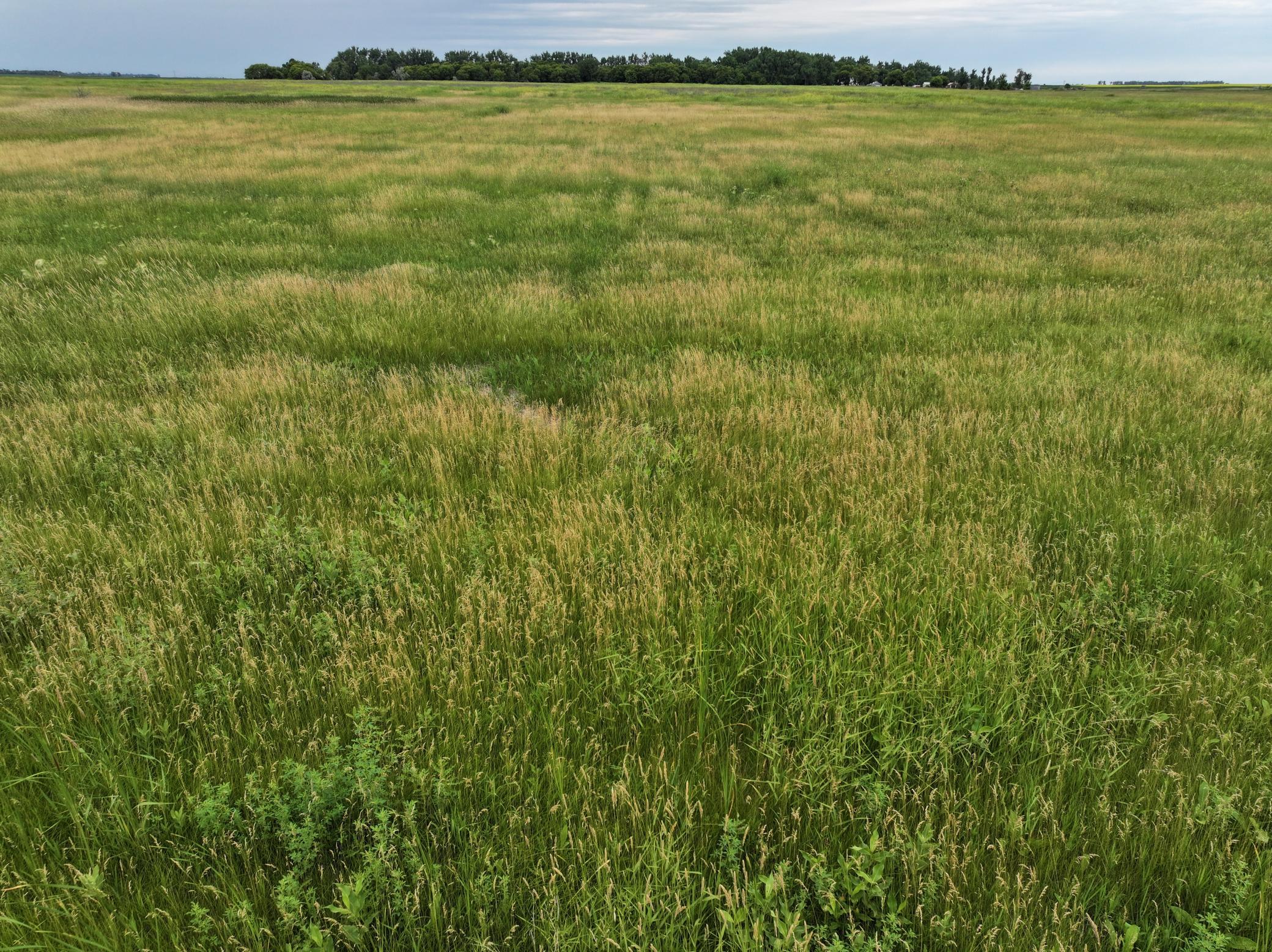 land for sale at TBD 33rd St SE in Tower City, ND (photo 31 of 39)