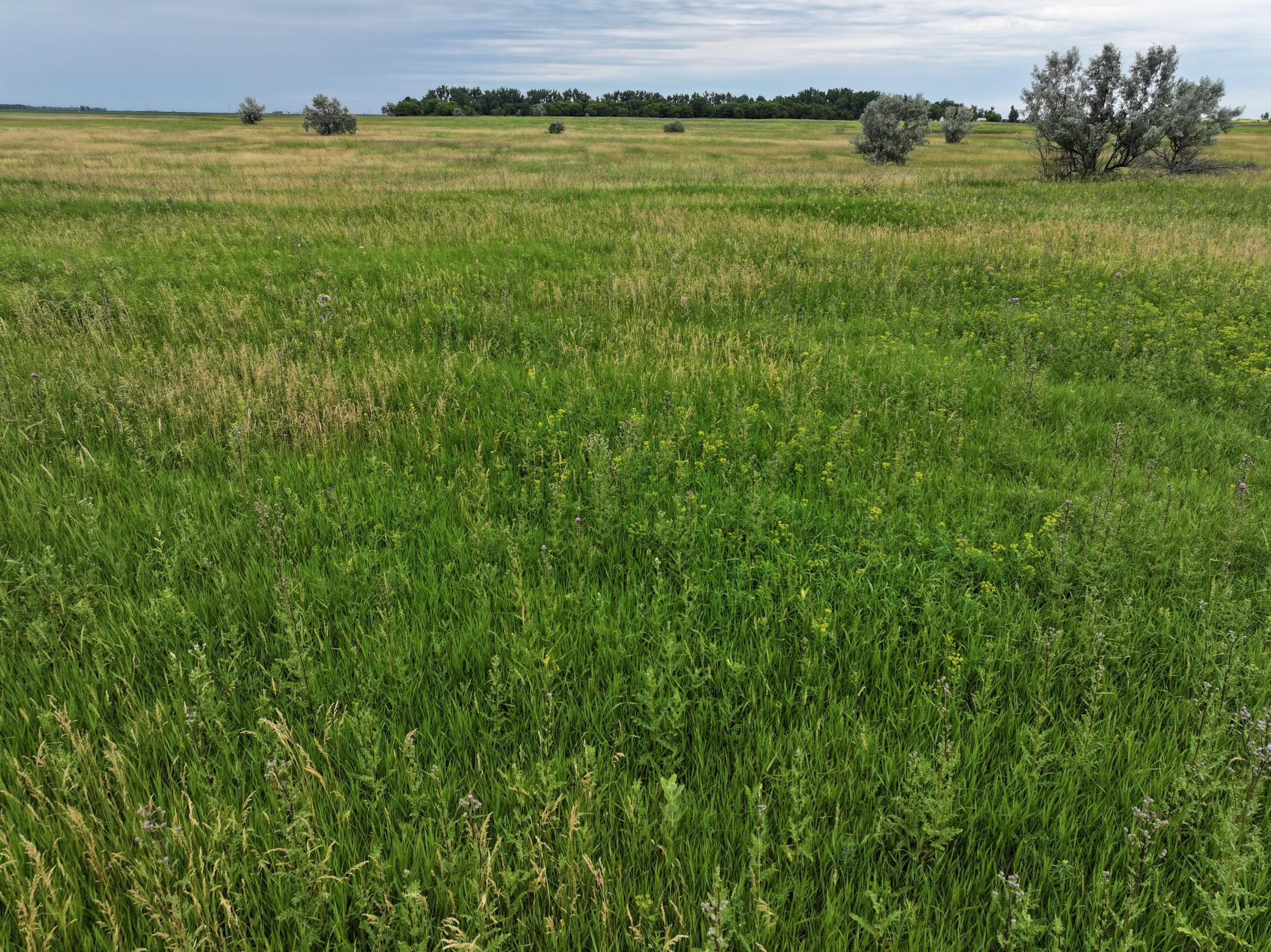 land for sale at TBD 33rd St SE in Tower City, ND (photo 32 of 39)