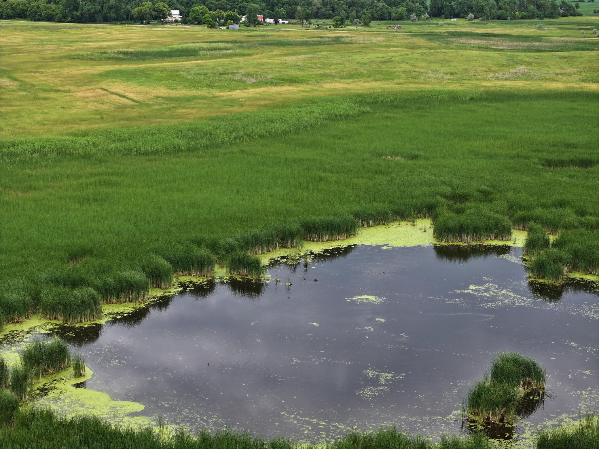 land for sale at TBD 33rd St SE in Tower City, ND (photo 34 of 39)