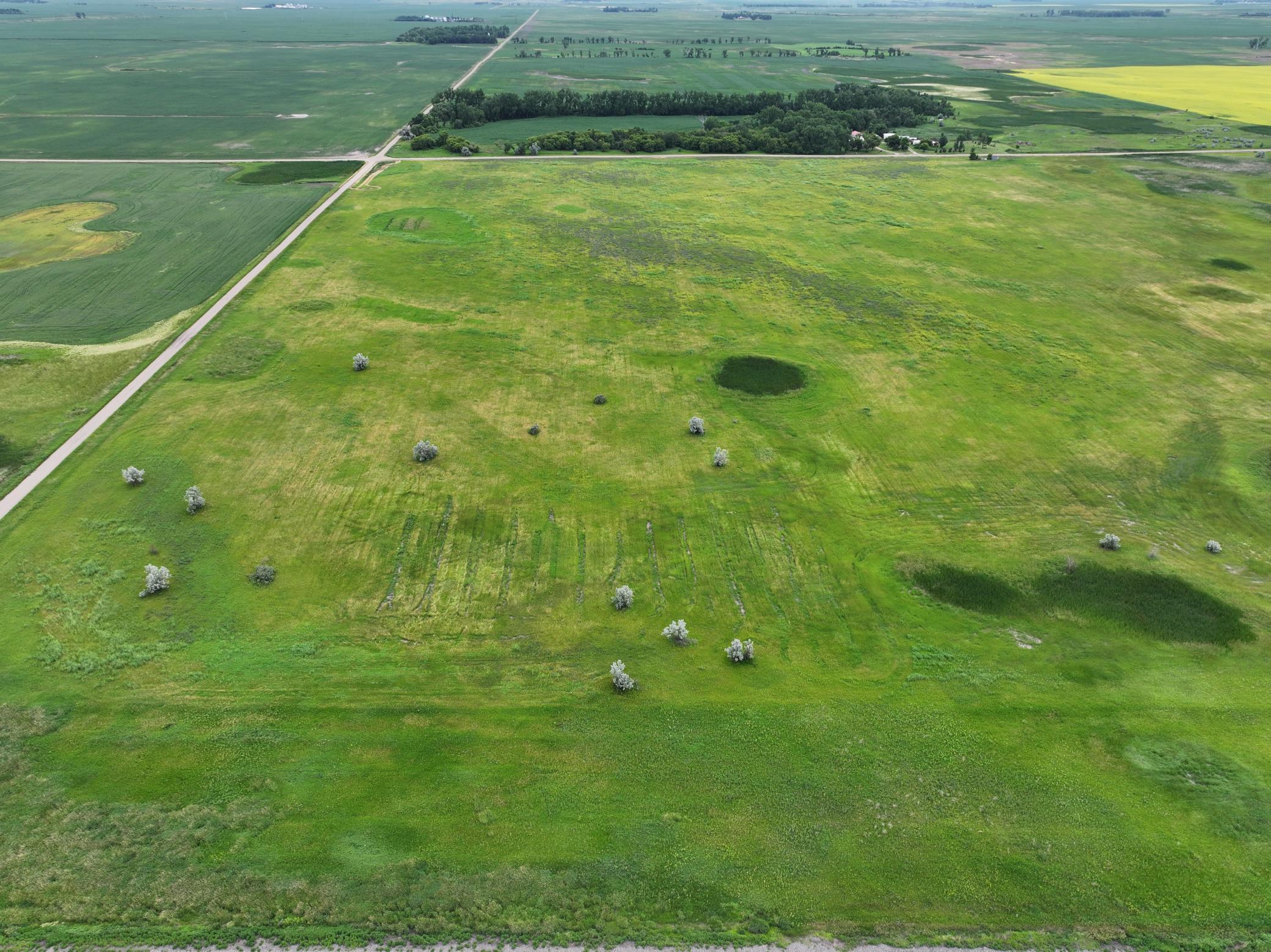 land for sale at TBD 33rd St SE in Tower City, ND (photo 10 of 39)