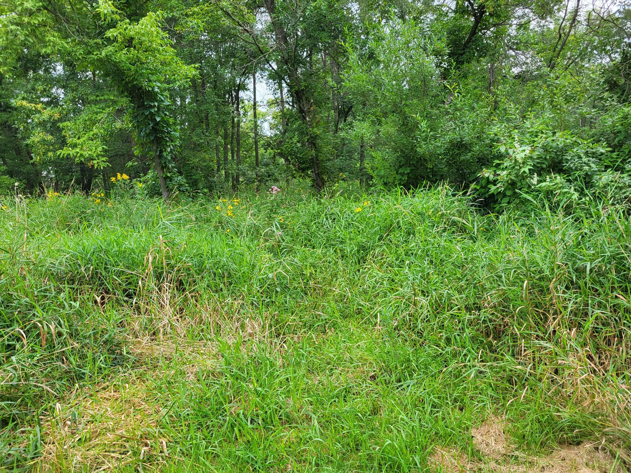 2000 land for sale at 96 ac 150th Street in Verndale, MN (photo 11 of 26)
