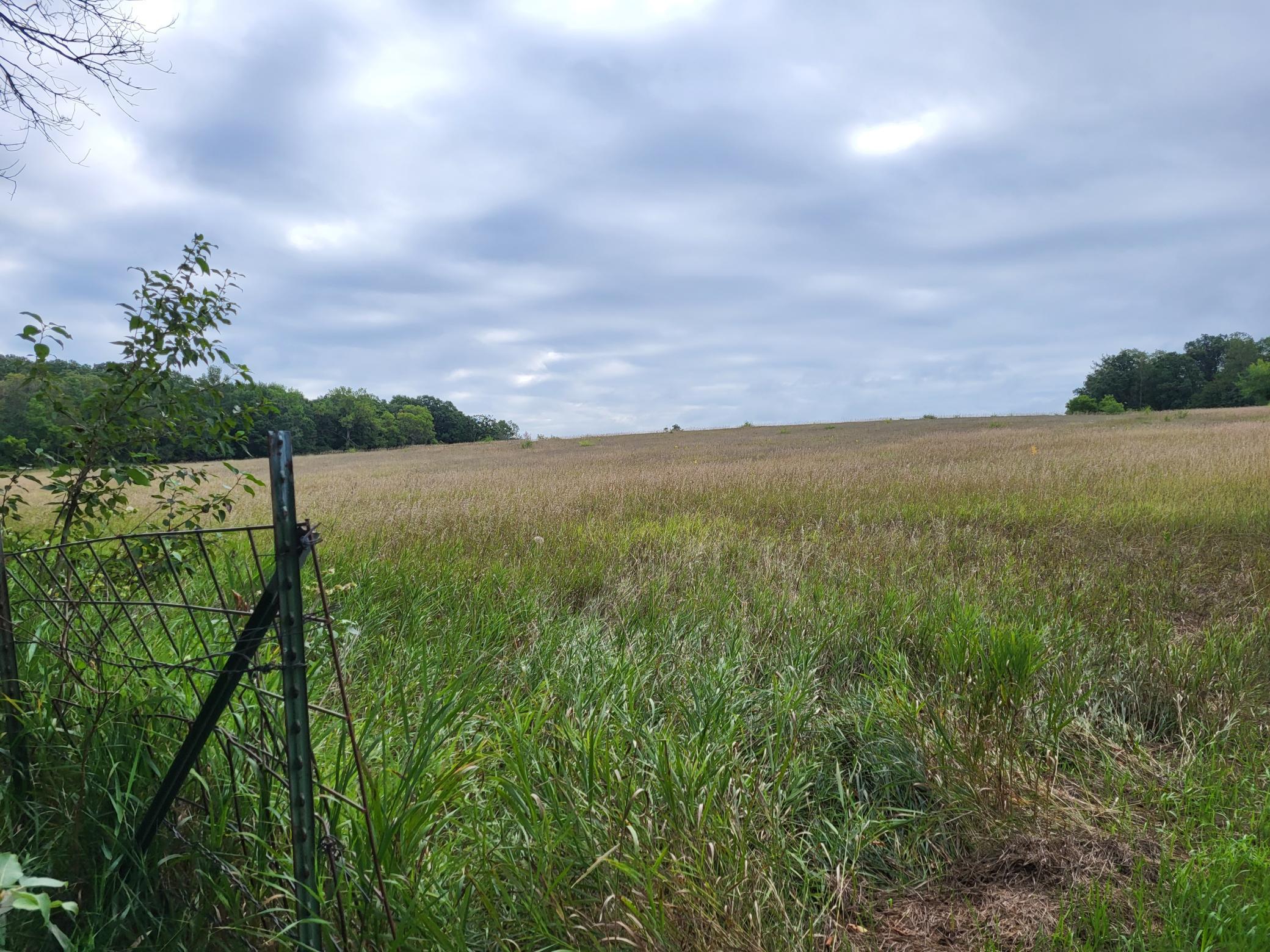 2000 land for sale at 96 ac 150th Street in Verndale, MN (photo 12 of 26)