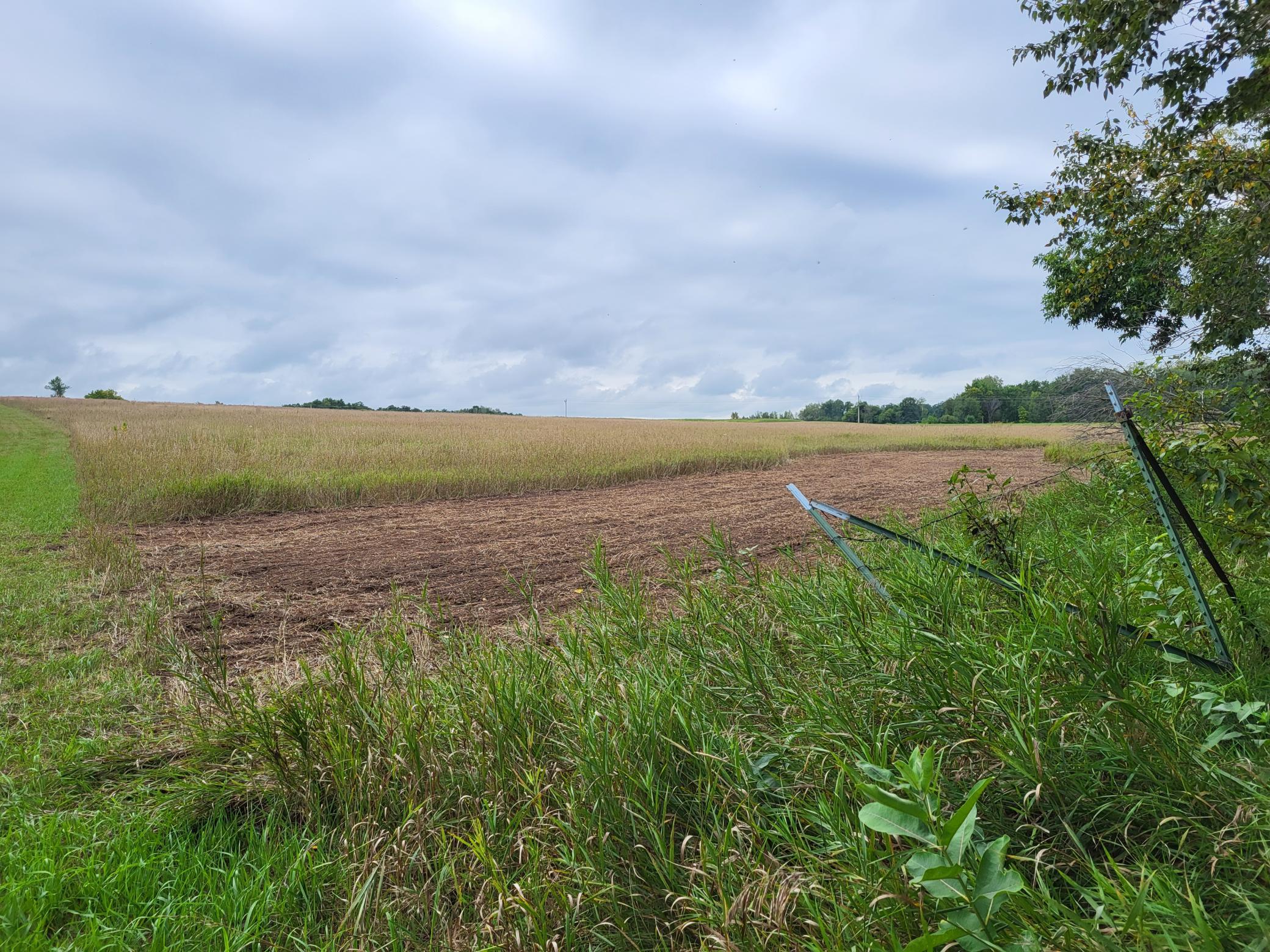 2000 land for sale at 96 ac 150th Street in Verndale, MN (photo 13 of 26)