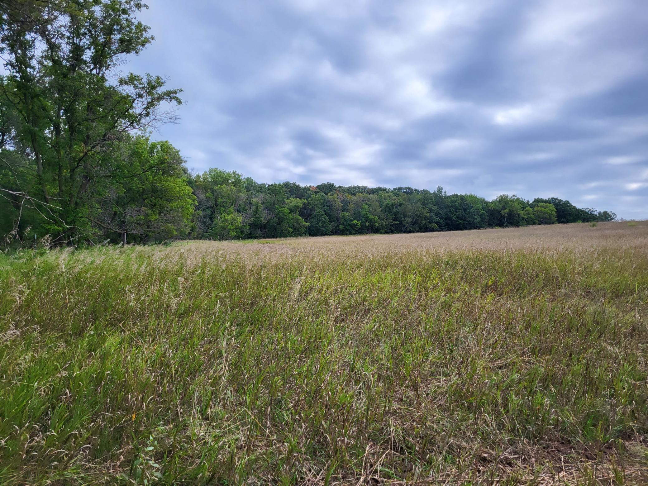 2000 land for sale at 96 ac 150th Street in Verndale, MN (photo 14 of 26)