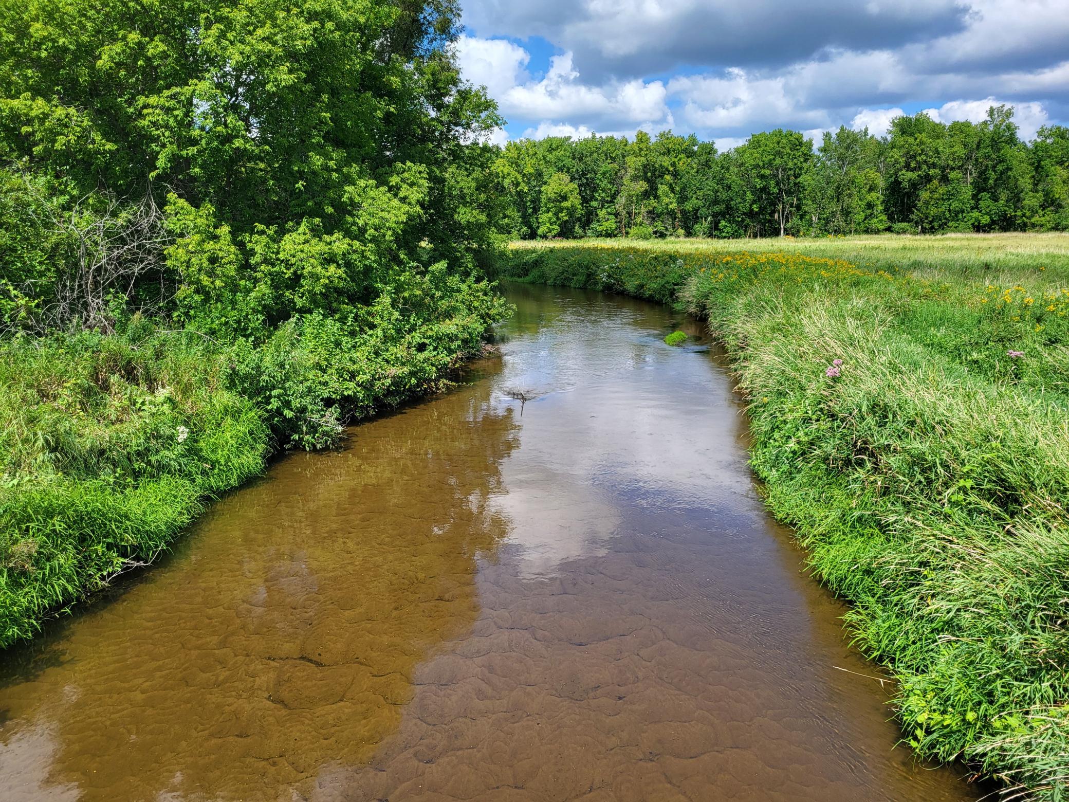 2000 land for sale at 96 ac 150th Street in Verndale, MN (photo 20 of 26)