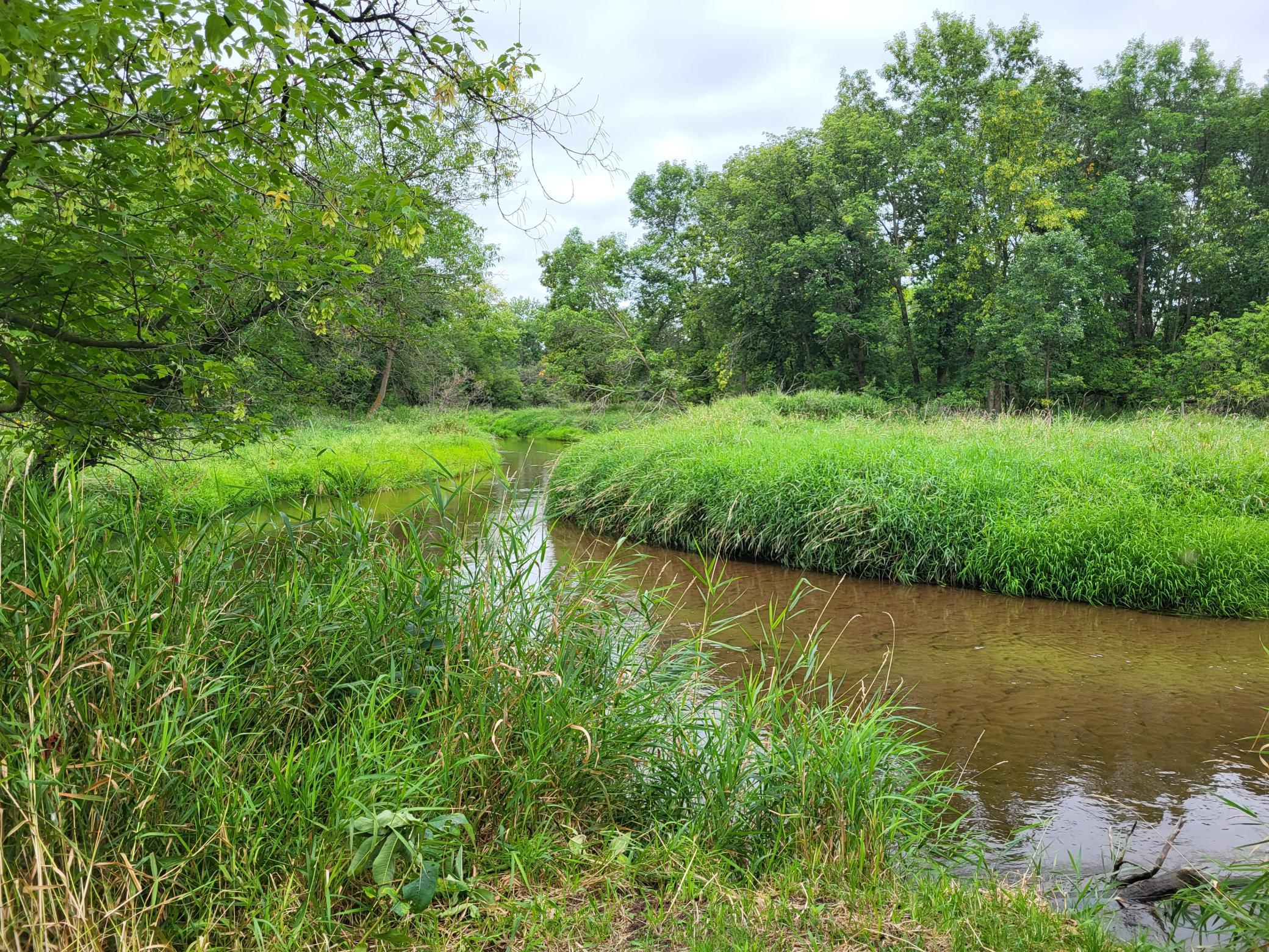 2000 land for sale at 96 ac 150th Street in Verndale, MN (photo 3 of 26)