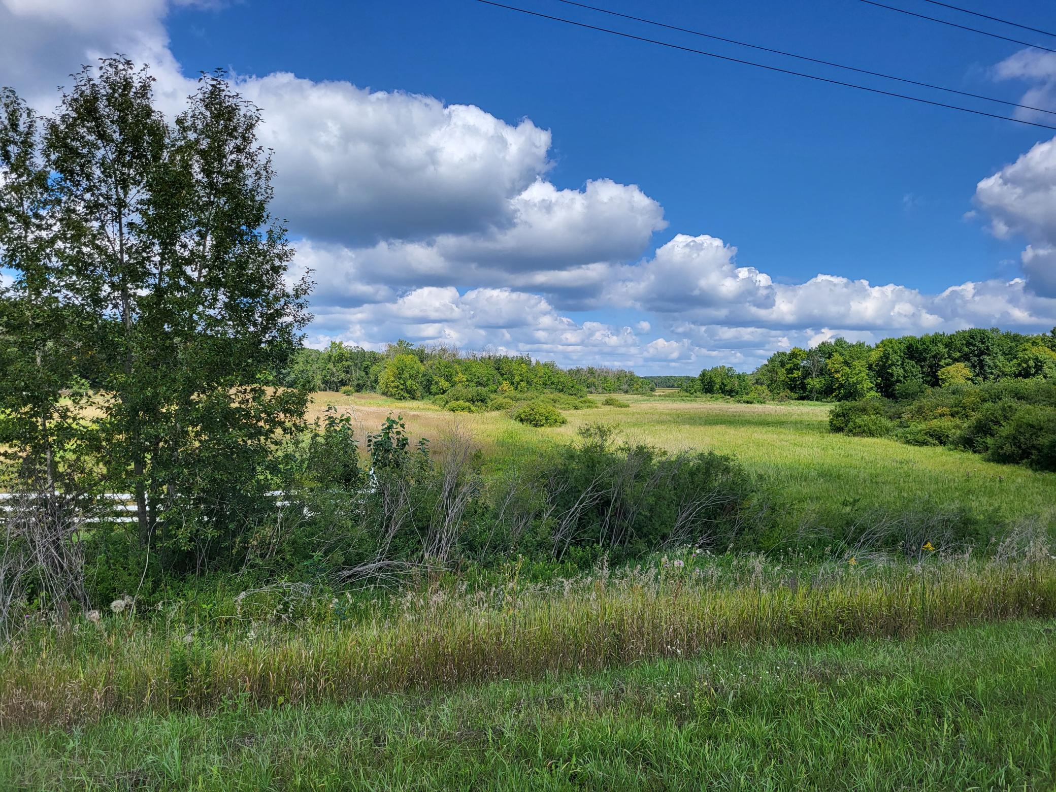 2000 land for sale at 96 ac 150th Street in Verndale, MN (photo 22 of 26)