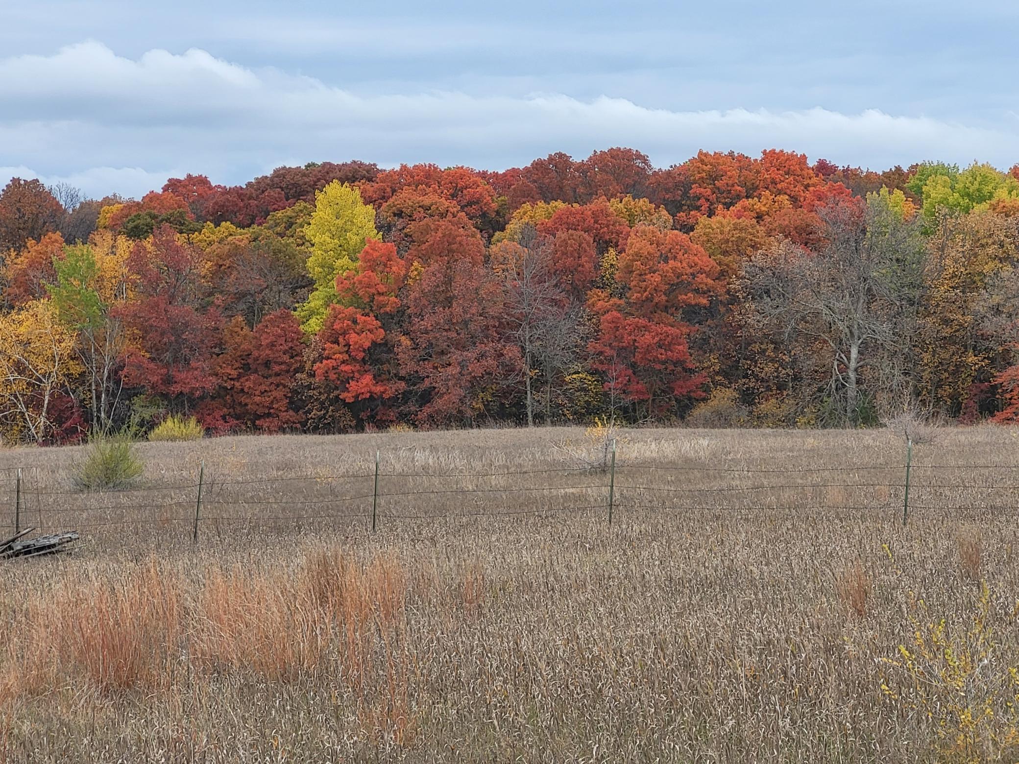 2000 land for sale at 96 ac 150th Street in Verndale, MN (photo 23 of 26)