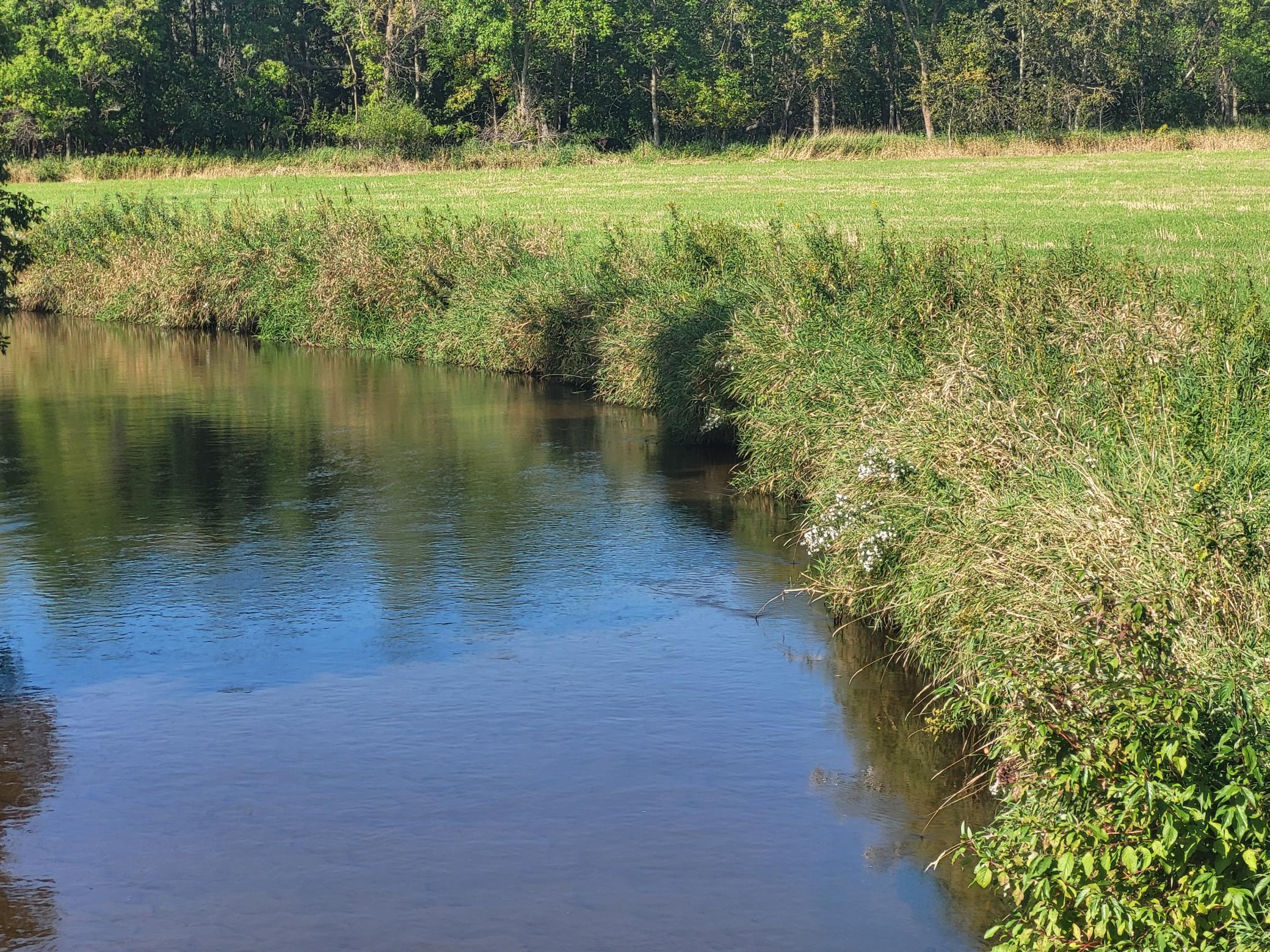 2000 land for sale at 96 ac 150th Street in Verndale, MN (photo 25 of 26)
